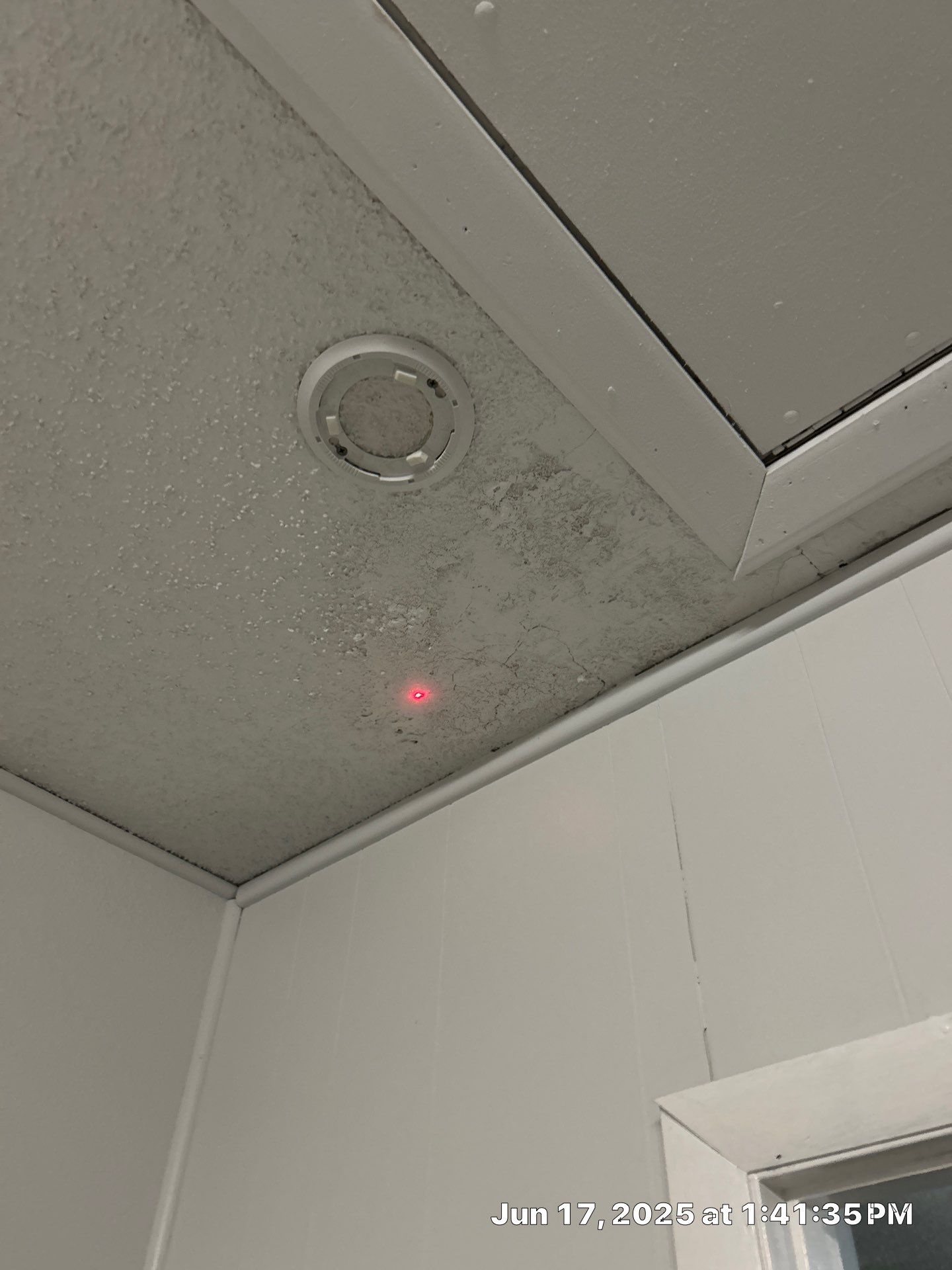 Mold Removal In Sarasota Florida by Ampm Restoration Services