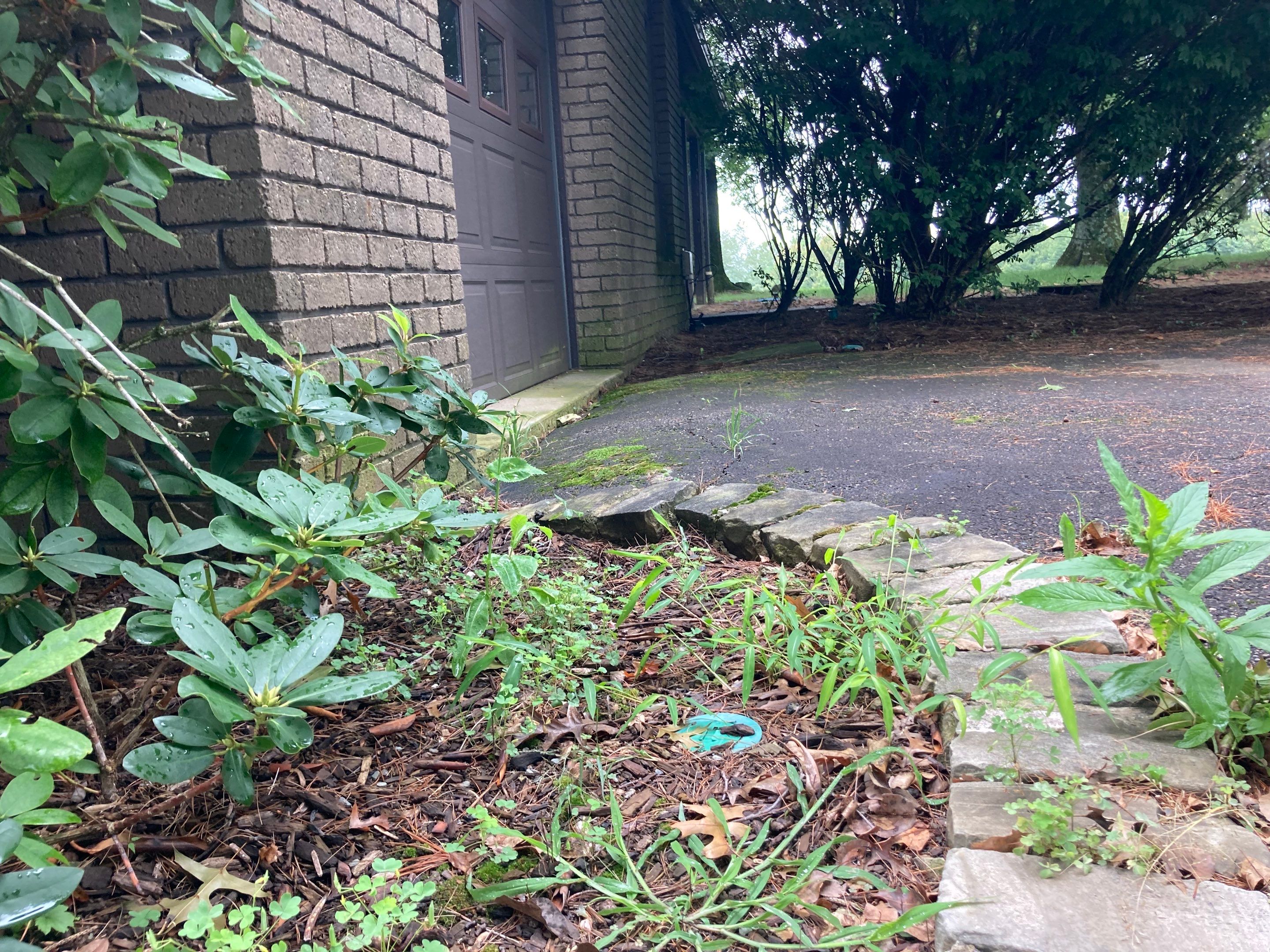 Personal and Commercial Lanes by Brant's Asphalt