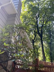 Window Cleaning in Denville, NJ — Gallo Bros job photo