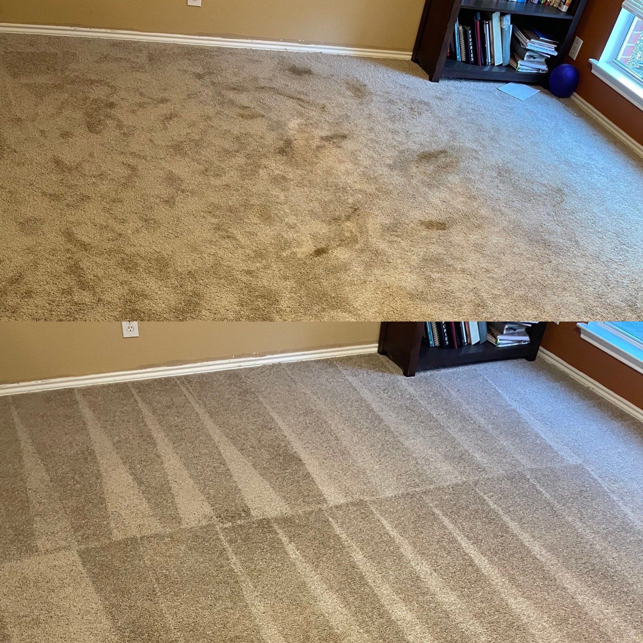 the service is deep cleaning of carpet removing dirt and stains for a fresh and improved appearance