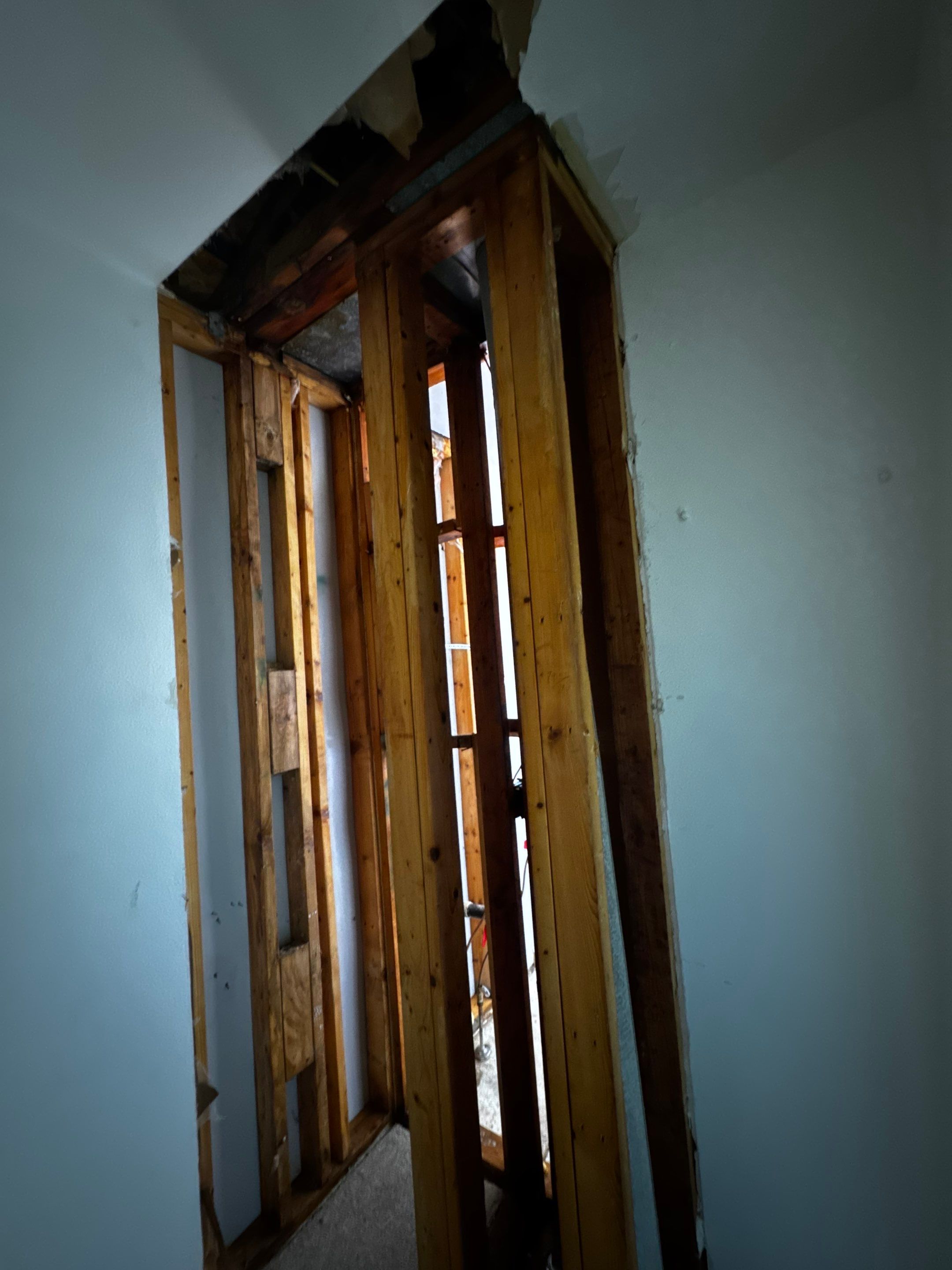 Mold Damage by Accountable Home Services