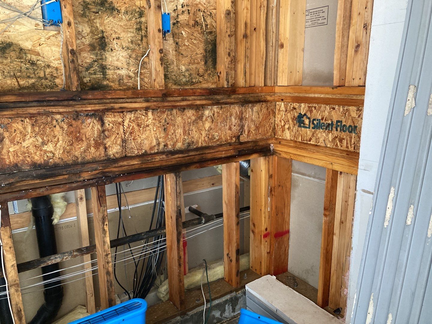 Mold Remediation using Containment by Accountable Home Services