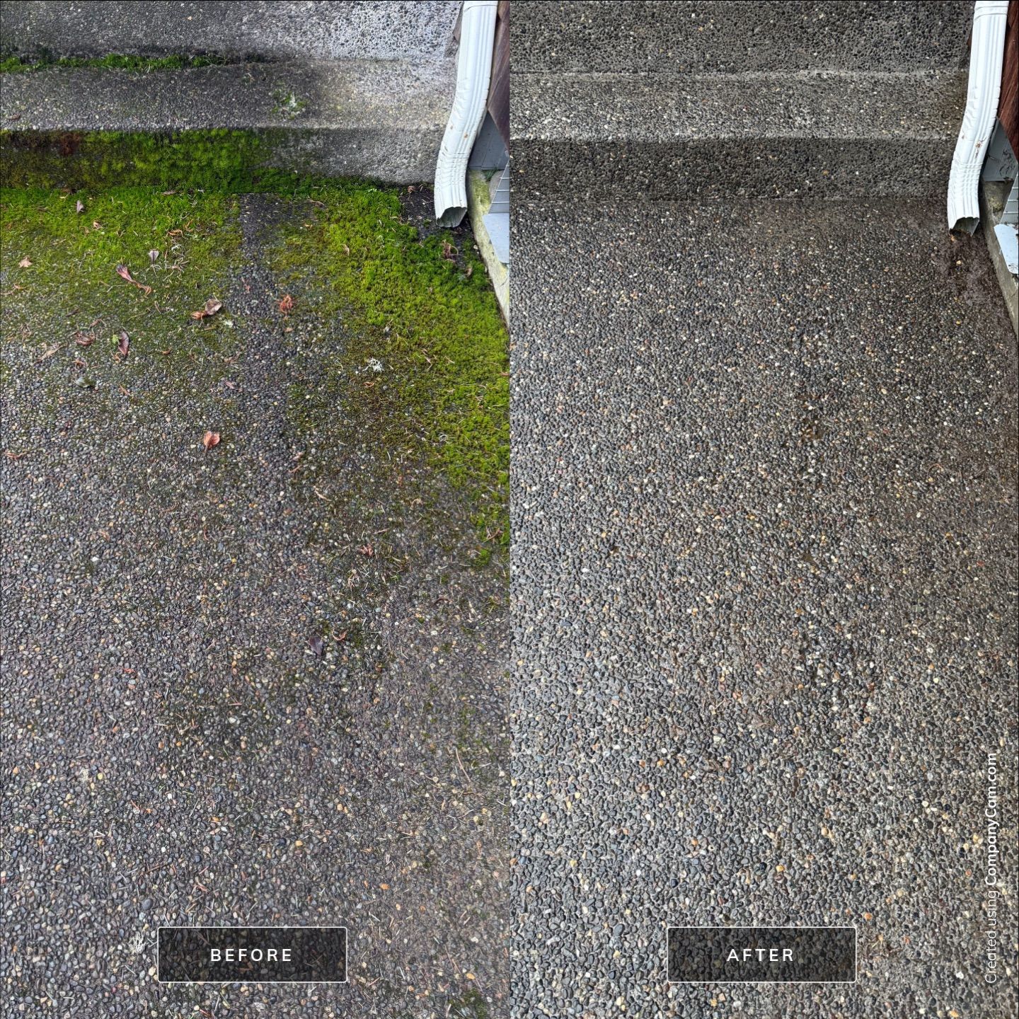 Home Renewal - Roof & Concrete Cleaning in Astoria by Rolling Suds of Oregon Coast – Salem