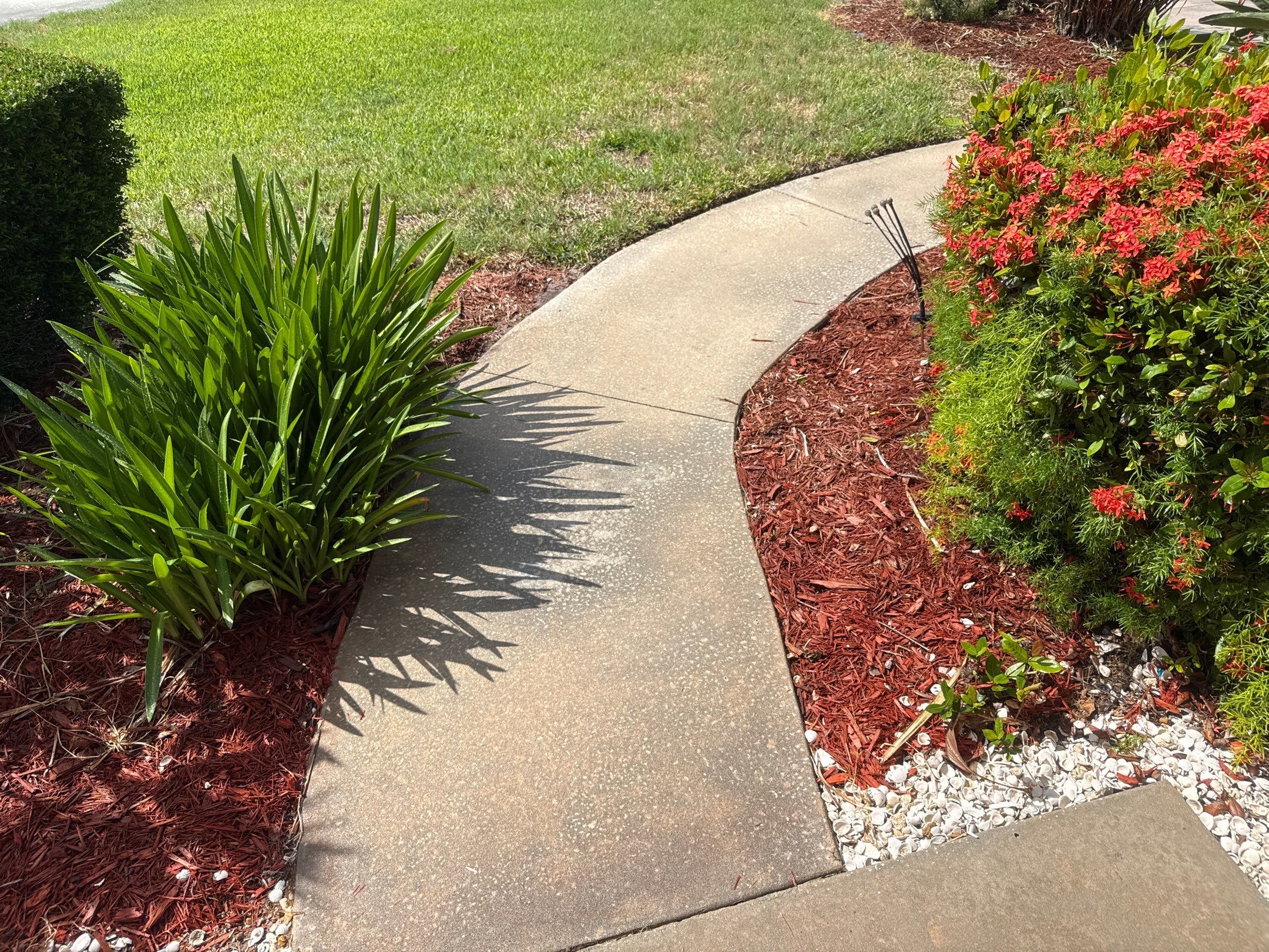 Tile Roof, Driveway & Patio Cleaning – Vivienda at Bradenton I by Sunshine AquaWash