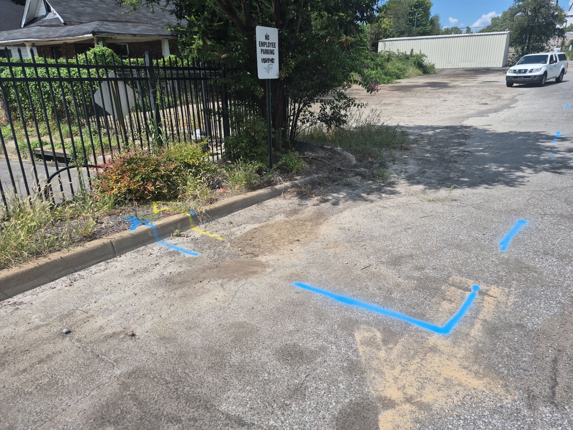Utility Locate and Utility Mapping for Survey by Alsip Locating Service, LLC