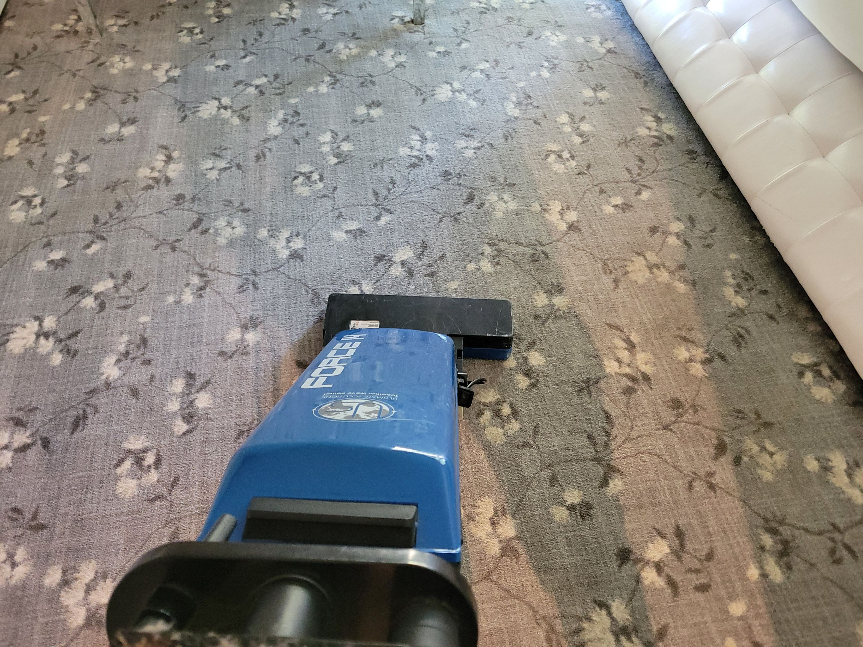 Carpet Cleaning, Including Wool by Ardent Carpet Restore LLC