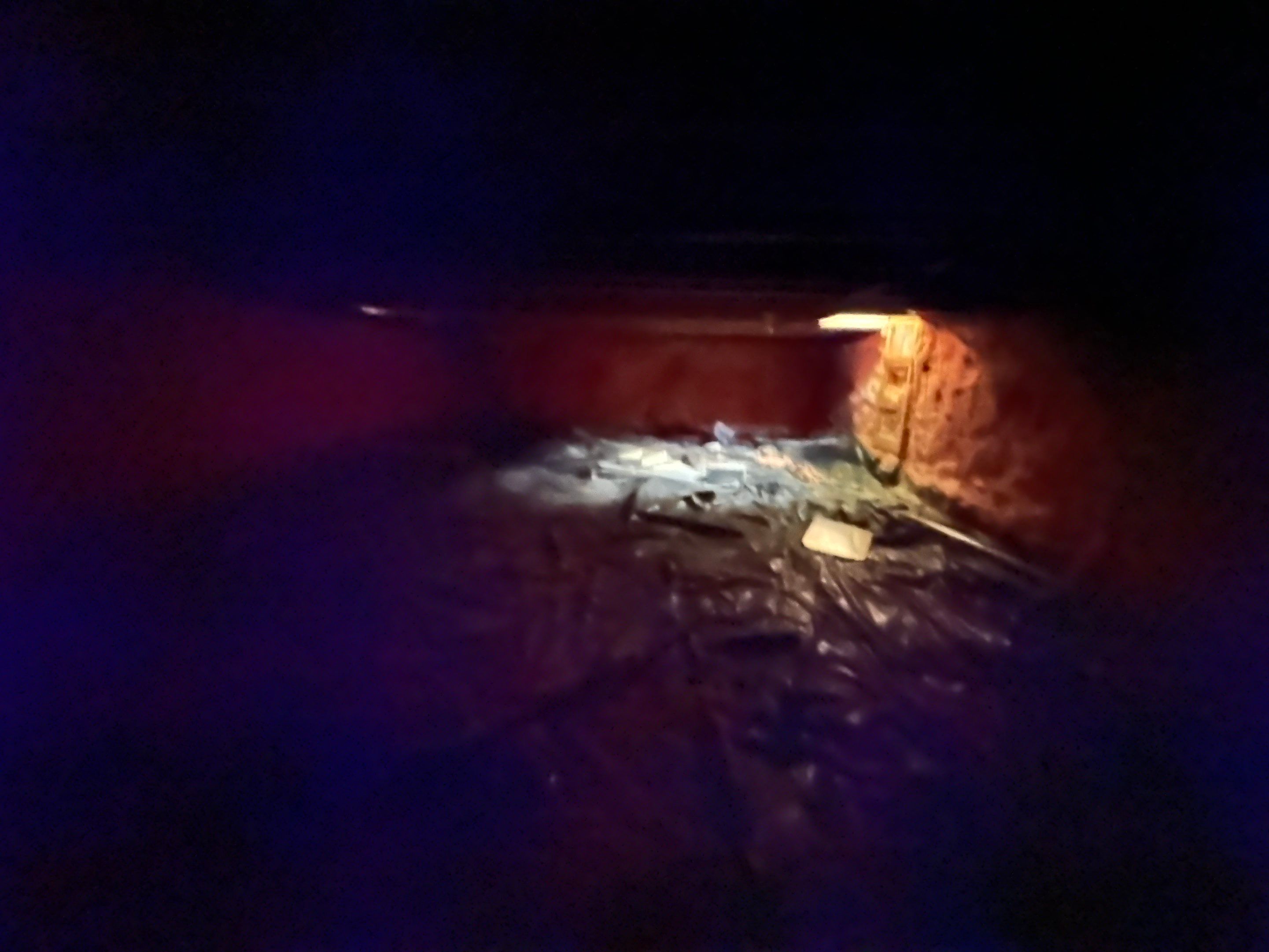 Mold Removal in Brighton, CO by Alpha Restoration 