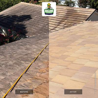 Tile Roof Cleaning in Orlando