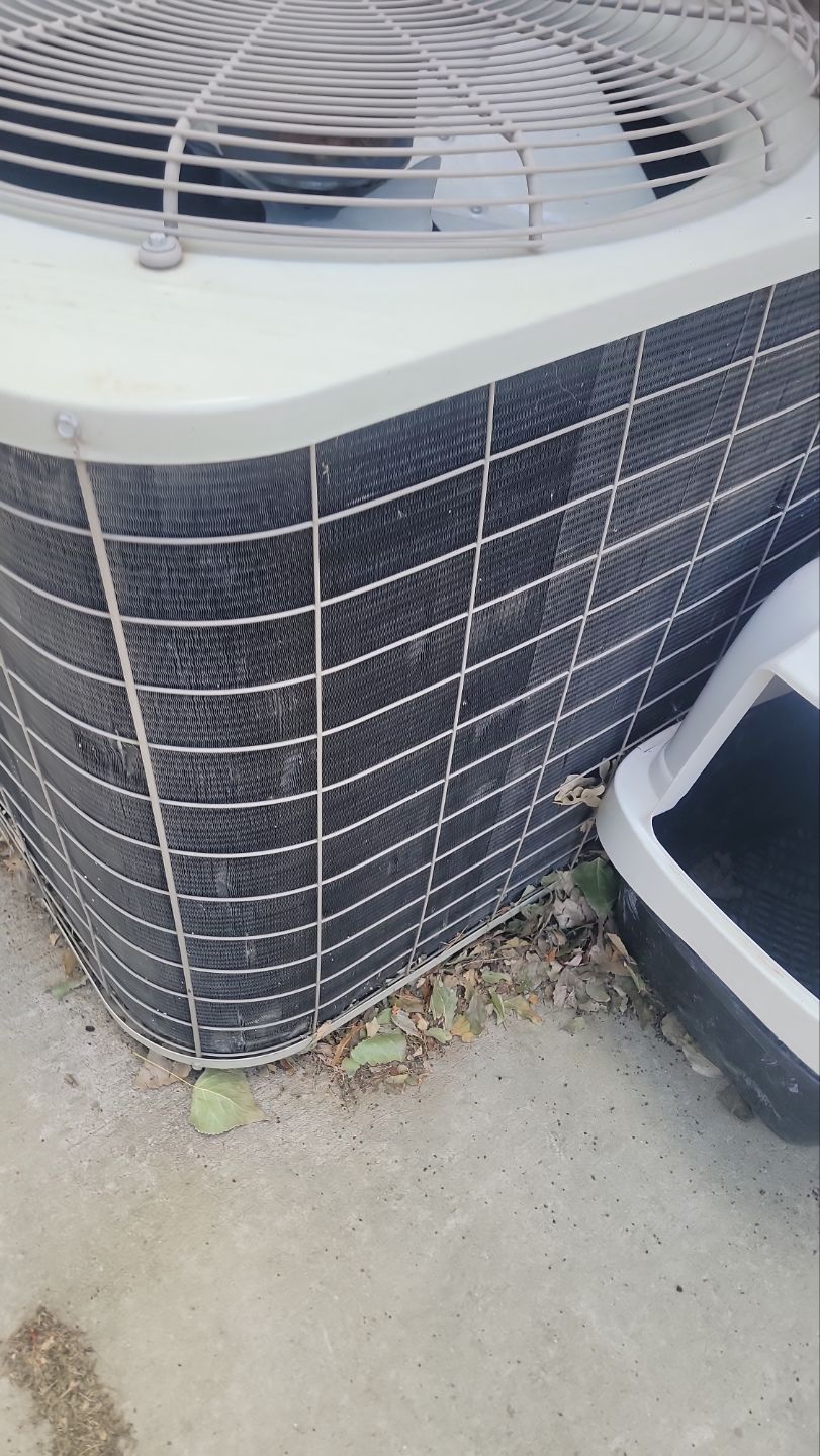 Roof Replacement After Hail Damage by ASAP Roofing & Exteriors