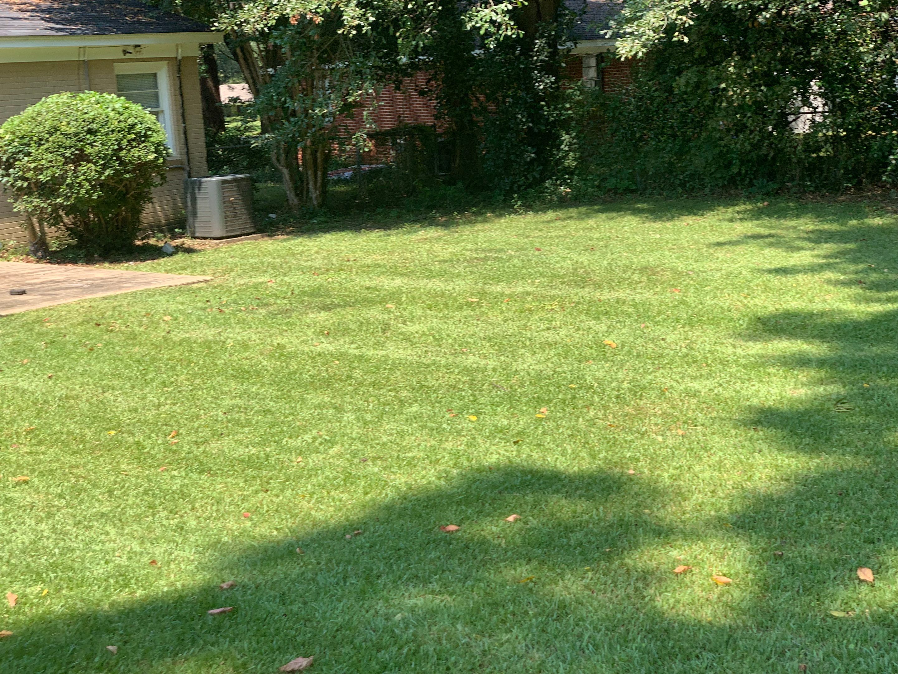 Yard Makeover by College Bros Outdoor services