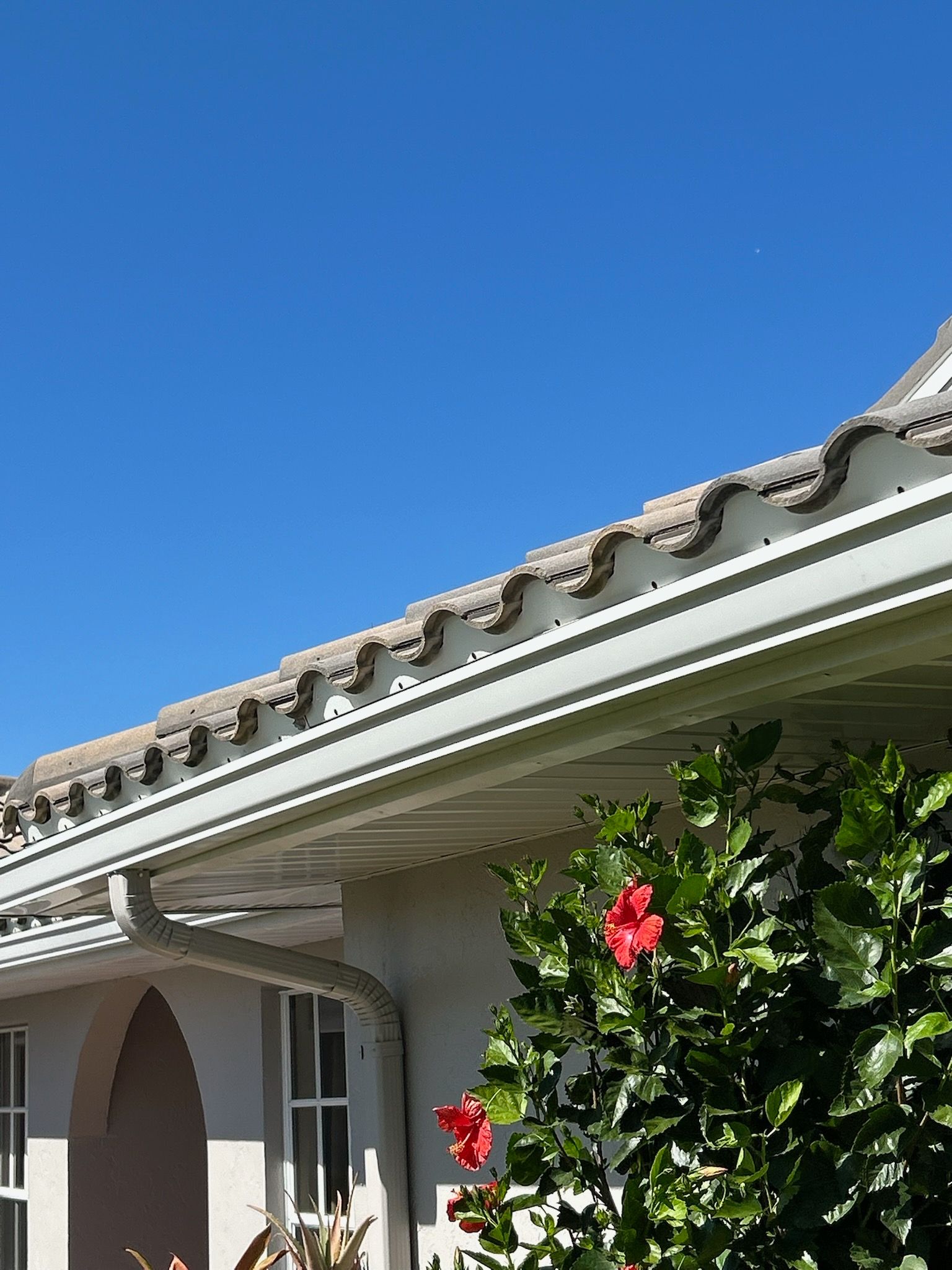 Fascia and Soffit Repair with New Gutters  by Gutter Professors