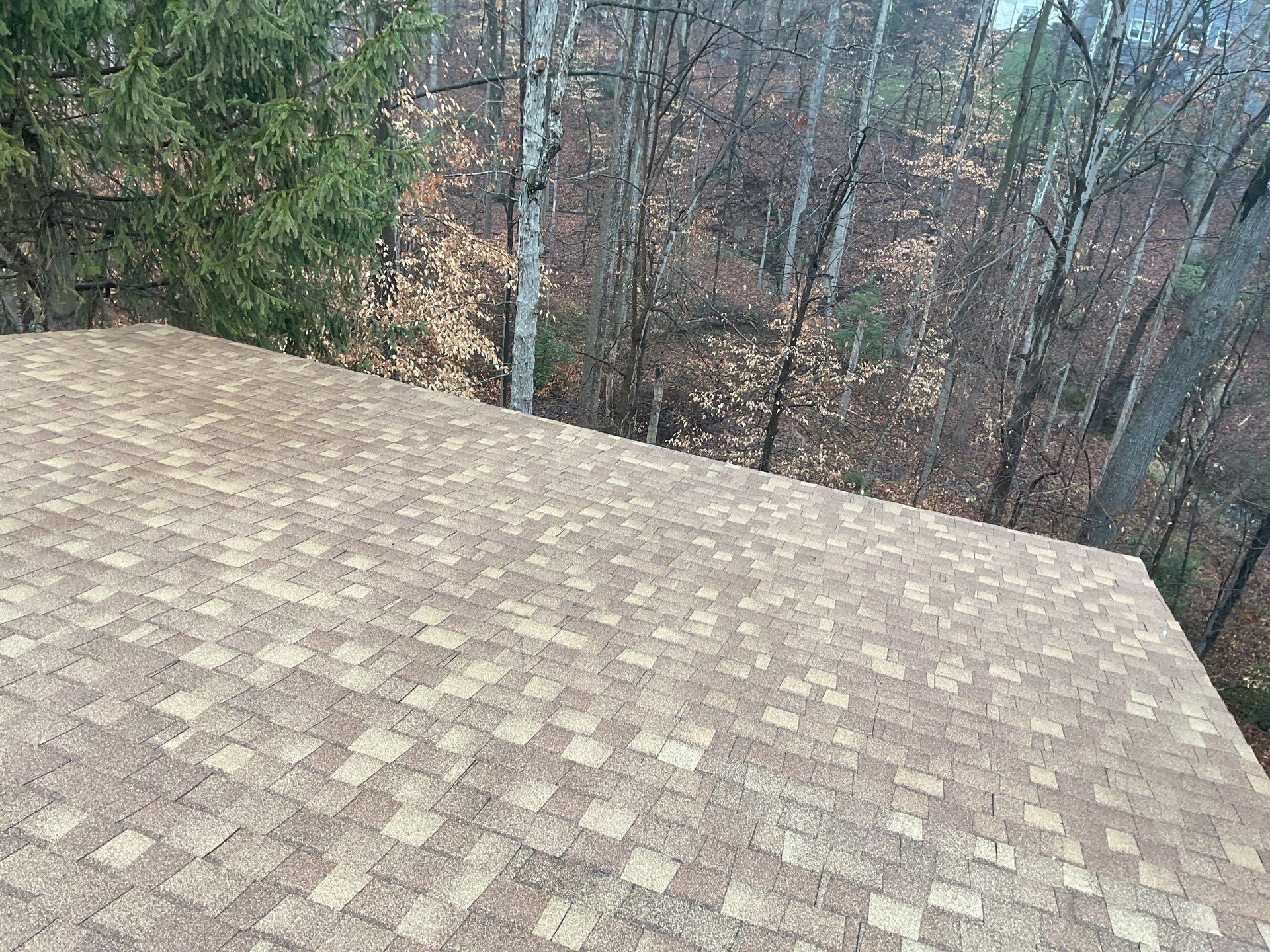 Springfield CertainTeed Landmark in Resawn Shake by RM Banning, Inc.