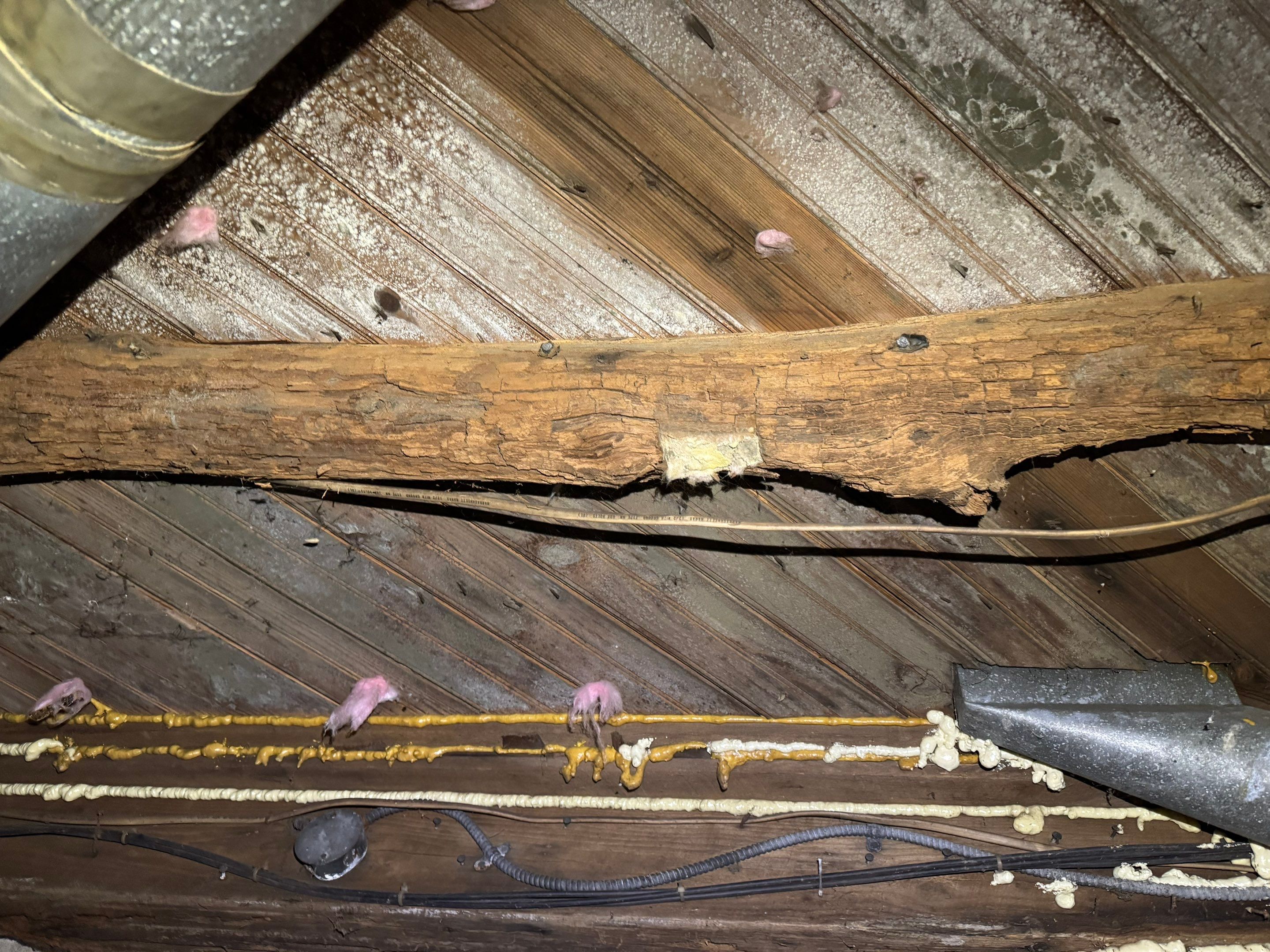 Mold Remediation (Basement) using Home Guarantee by Home Guarantee, LLC