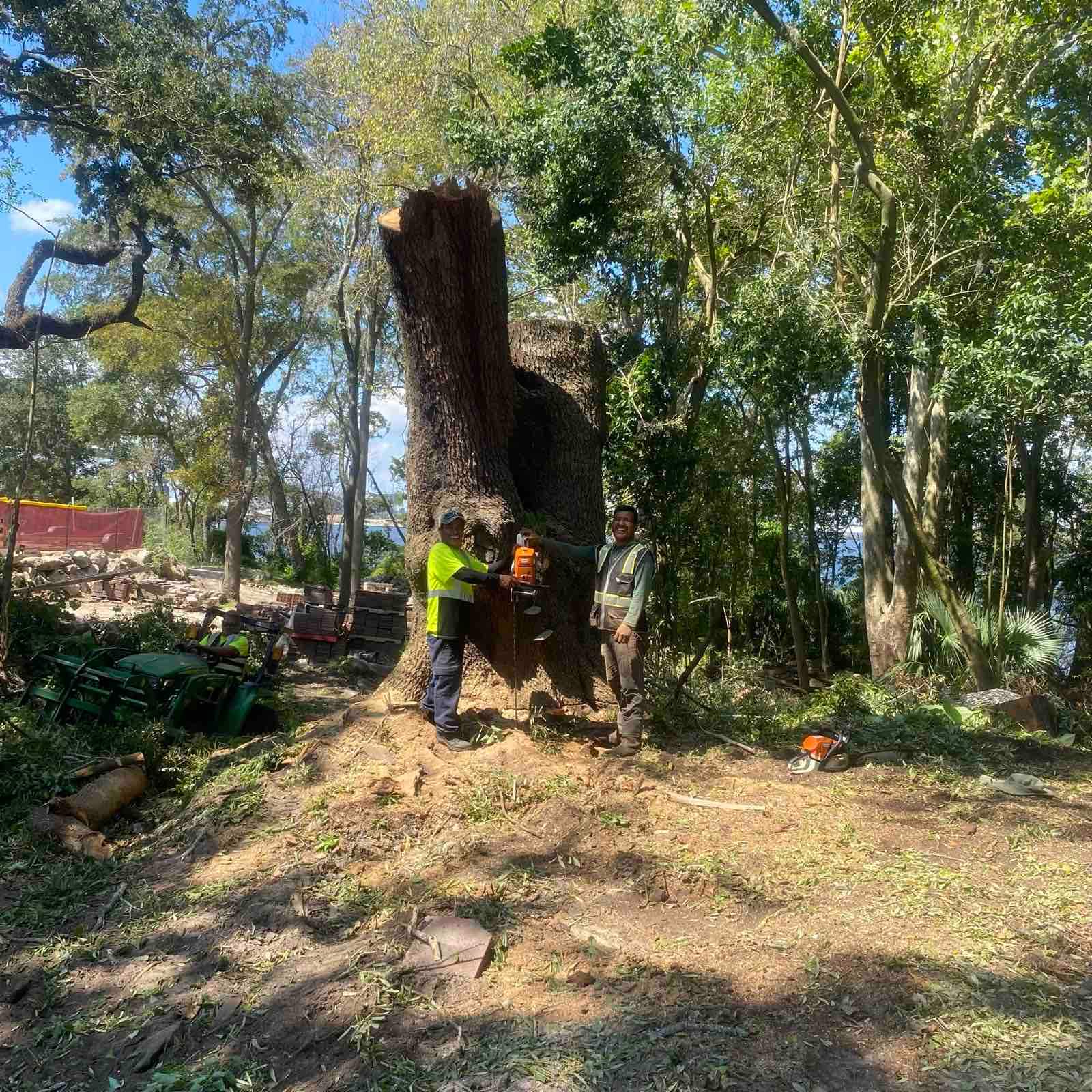 Tree Removal | Episcopal Softball Field by ProGreen Services