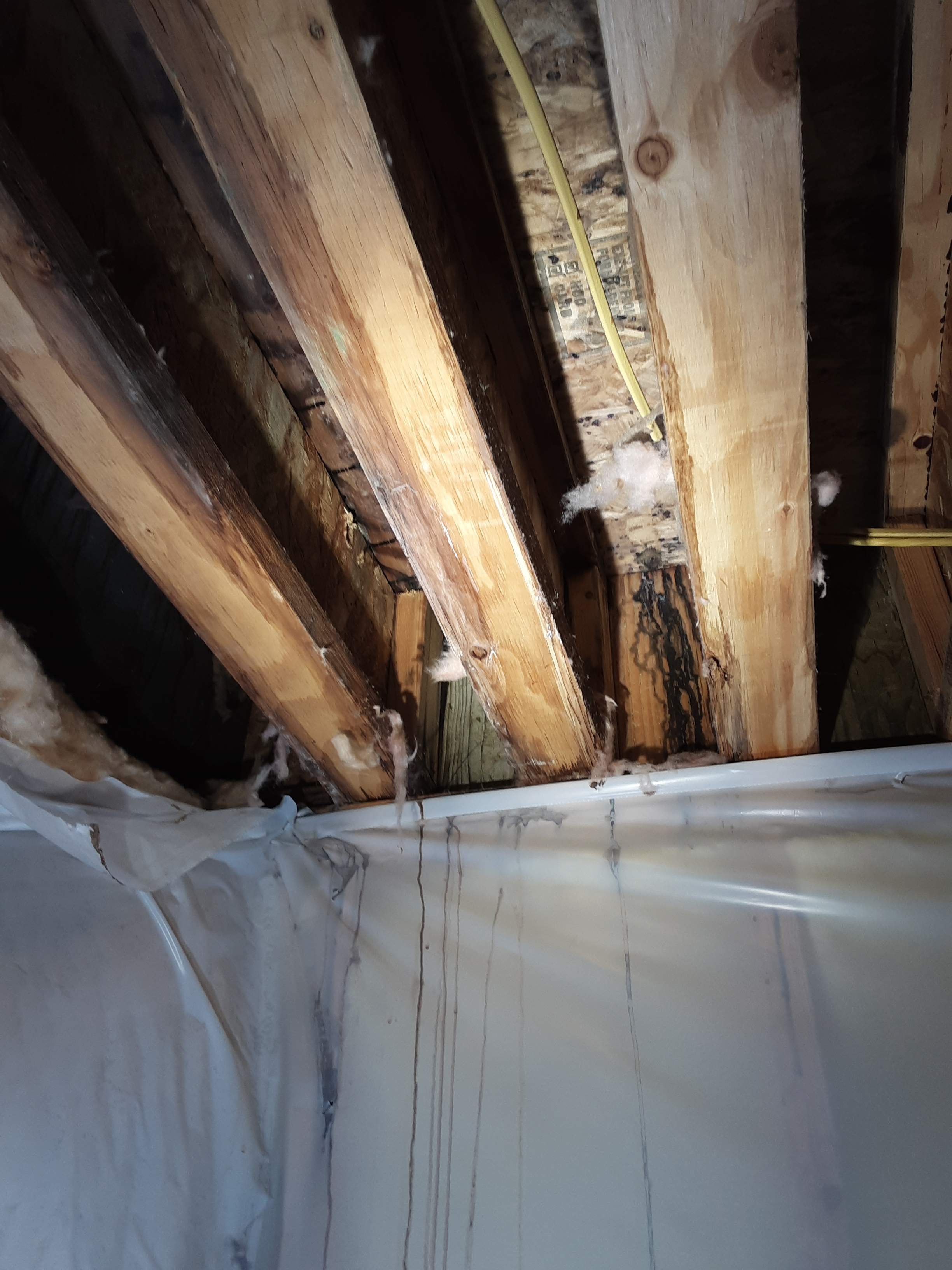 Interior water damage inspection by ASAP Roofing & Exteriors