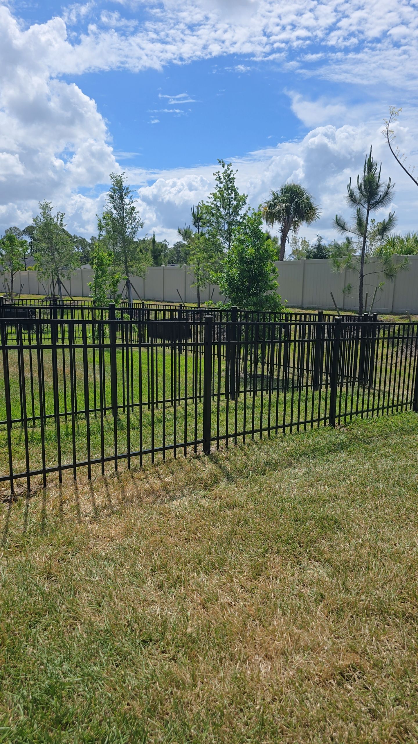 Aluminum Fence in The Cove at West Port by True Fence LLC