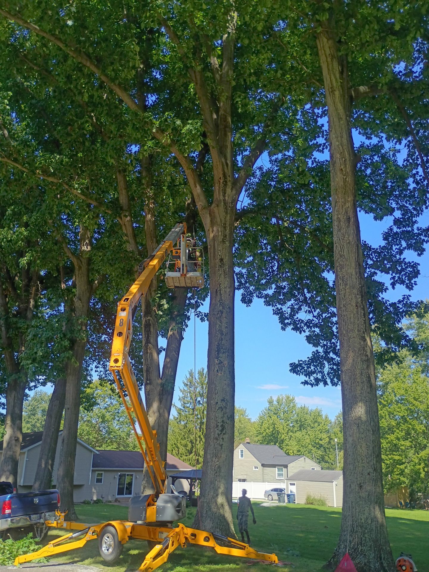 Tree Trimming & Tree Removal in Akron Ohio by Mike Jones & Sons Tree Service LLC 