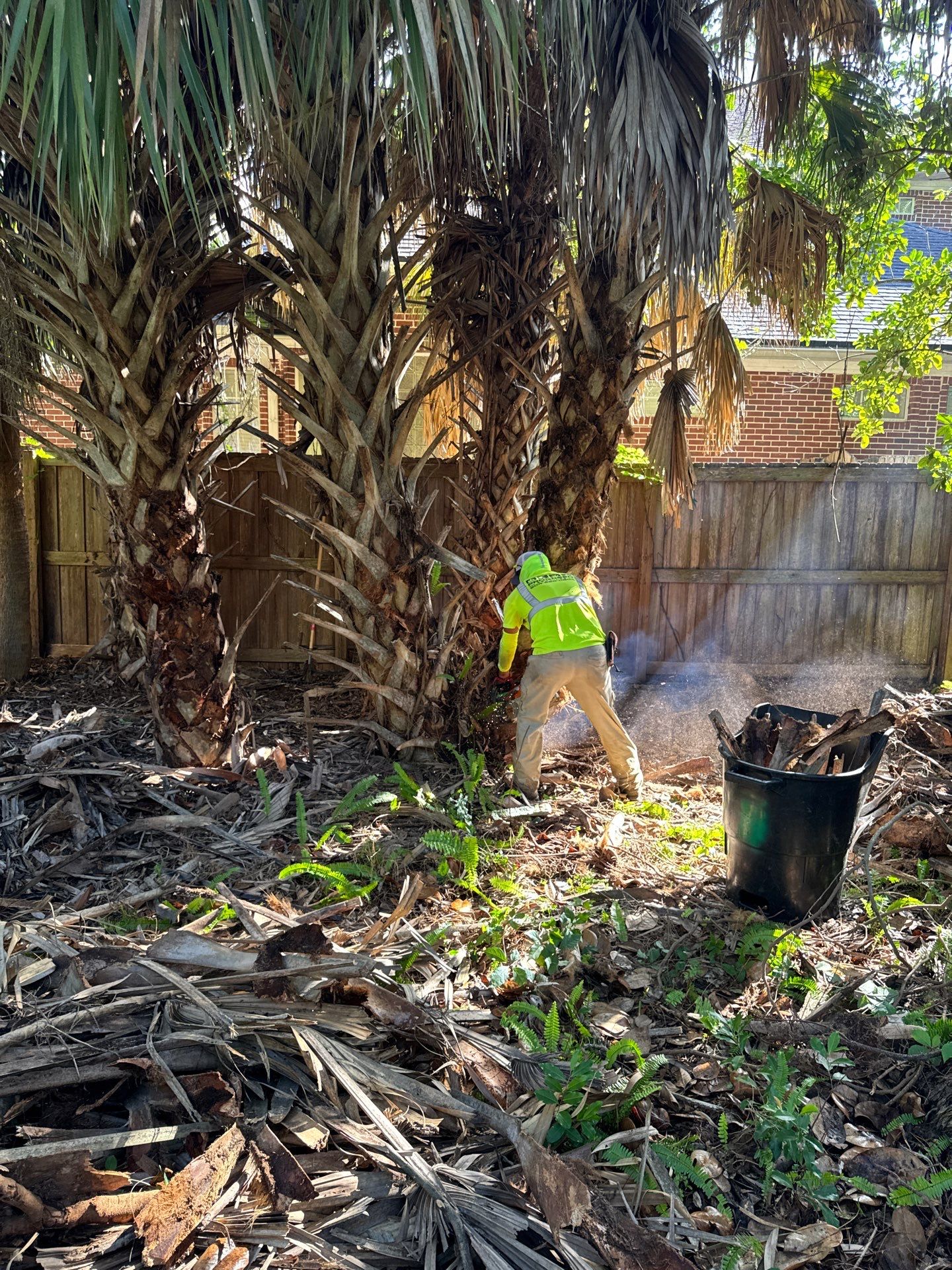 Deerwood Resident | Palm Tree Trimming & Booting by ProGreen Services
