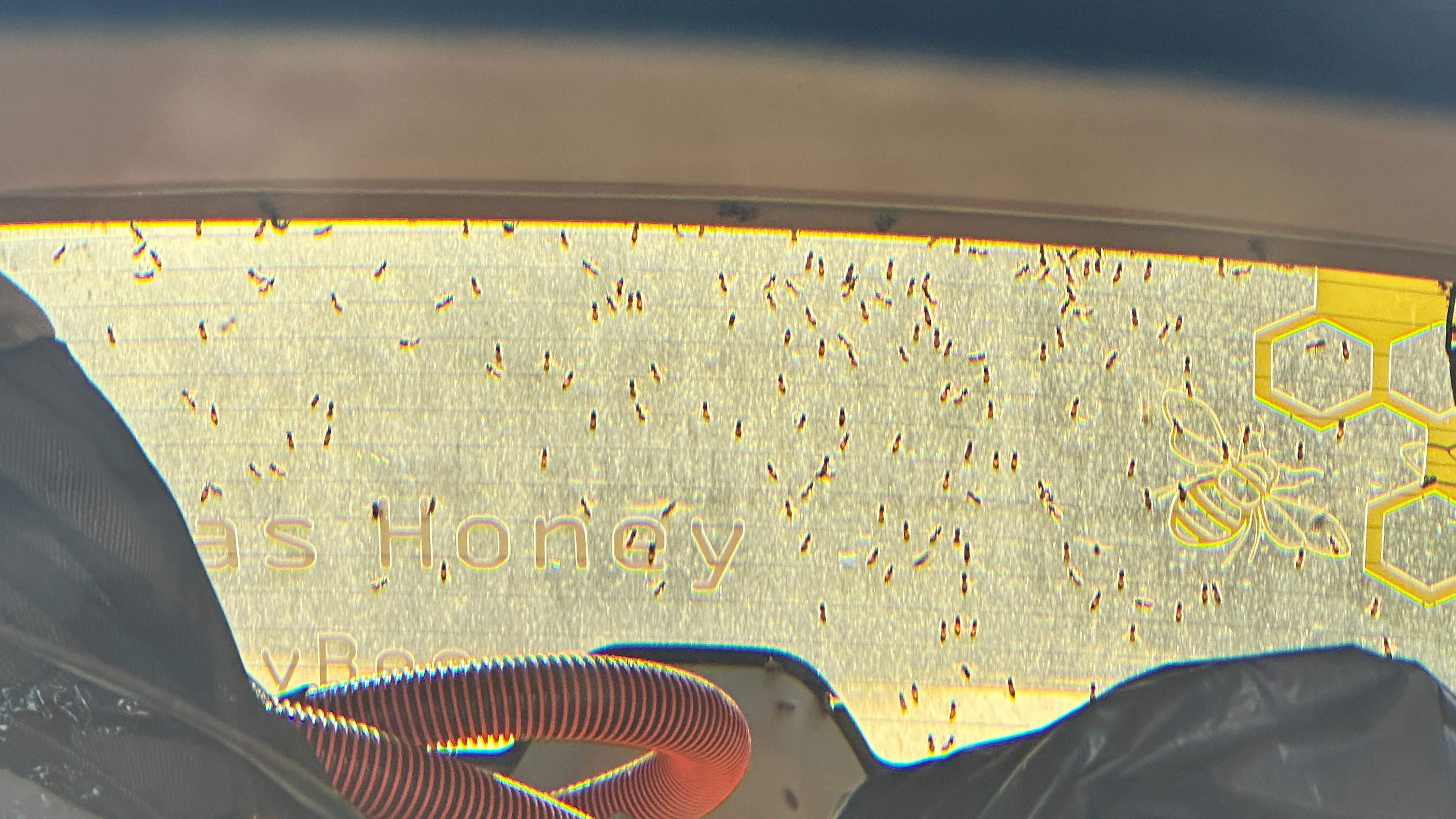 Skinny Space by Rockwall Honey Bee Company