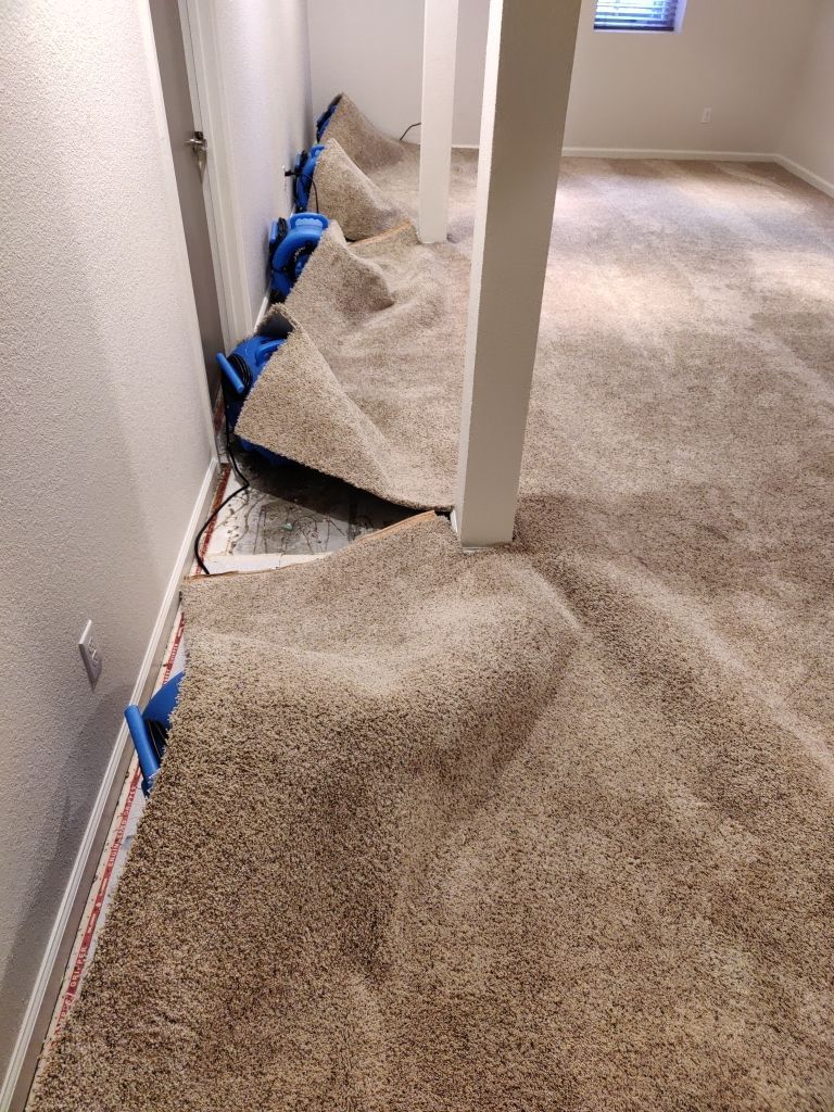 Water Damage  by Accountable Home Services