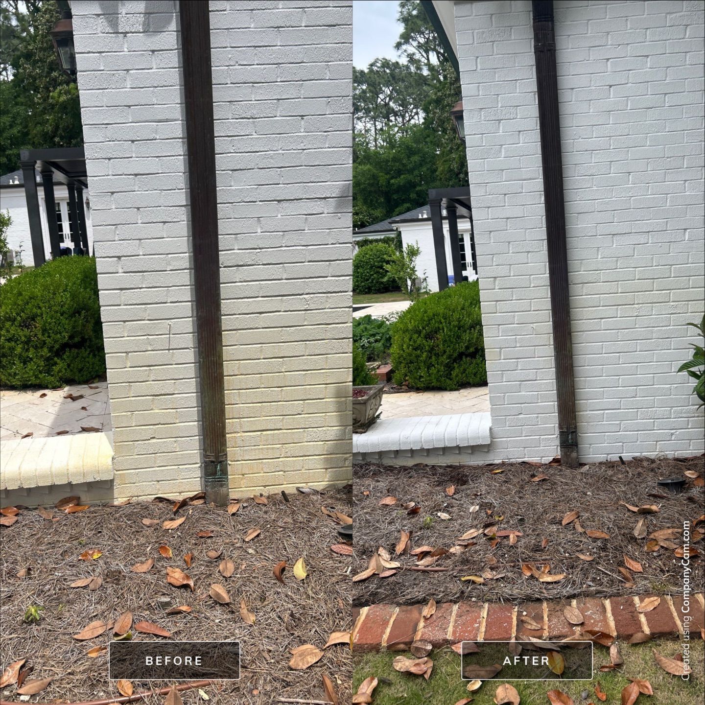 House Washing in Wilmington by Shark Power Washing