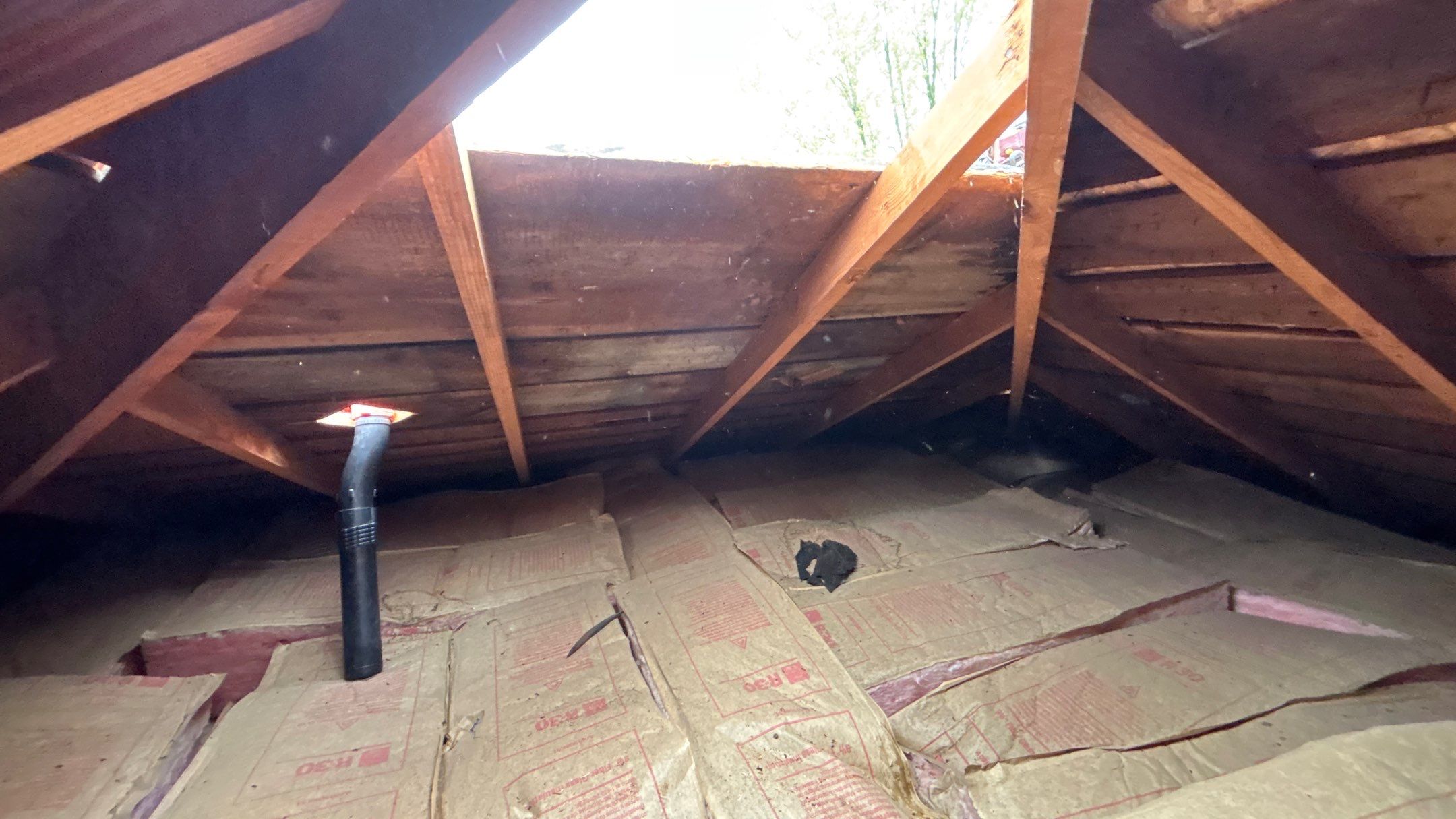 Roof Replacement using Owens Corning Summer Harvest by 180 Contractors