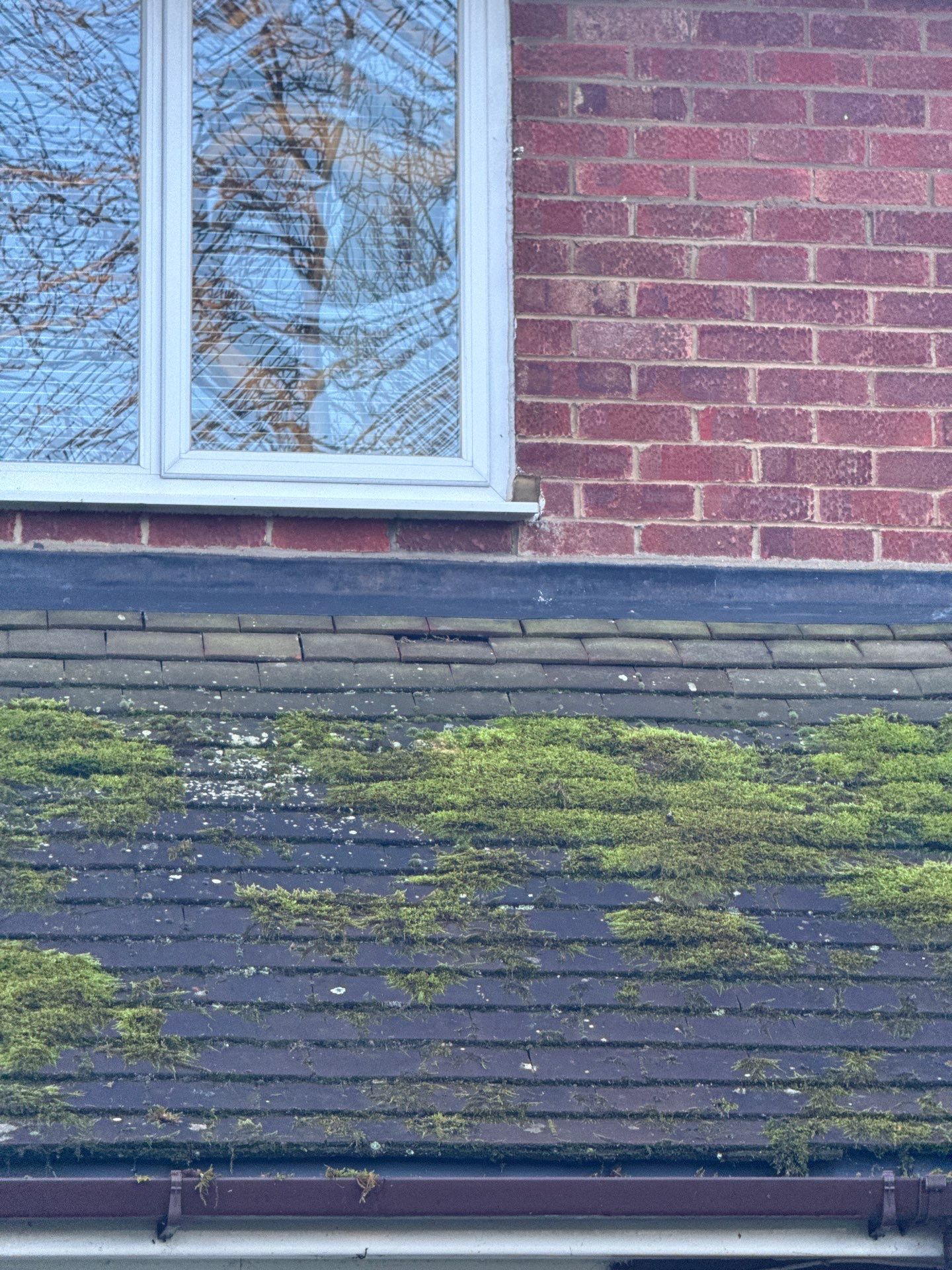 Roof Clean  - Moss Removal - Gutter Clean by Ges Exterior Cleaning ltd