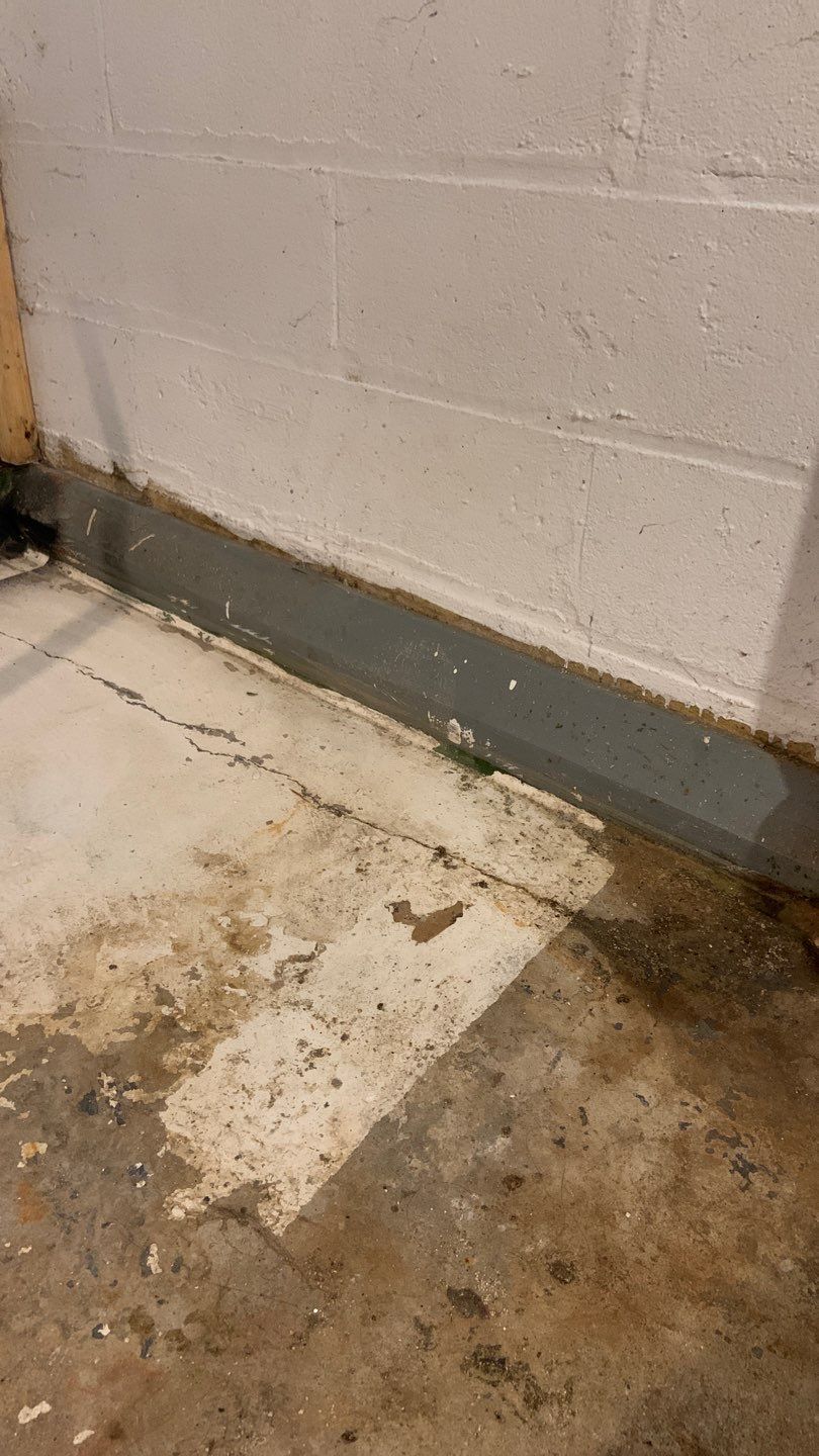 Upgrading Nicole & Gary’s 1960s Beaver System in St. Paul by Waterproofing Northeast