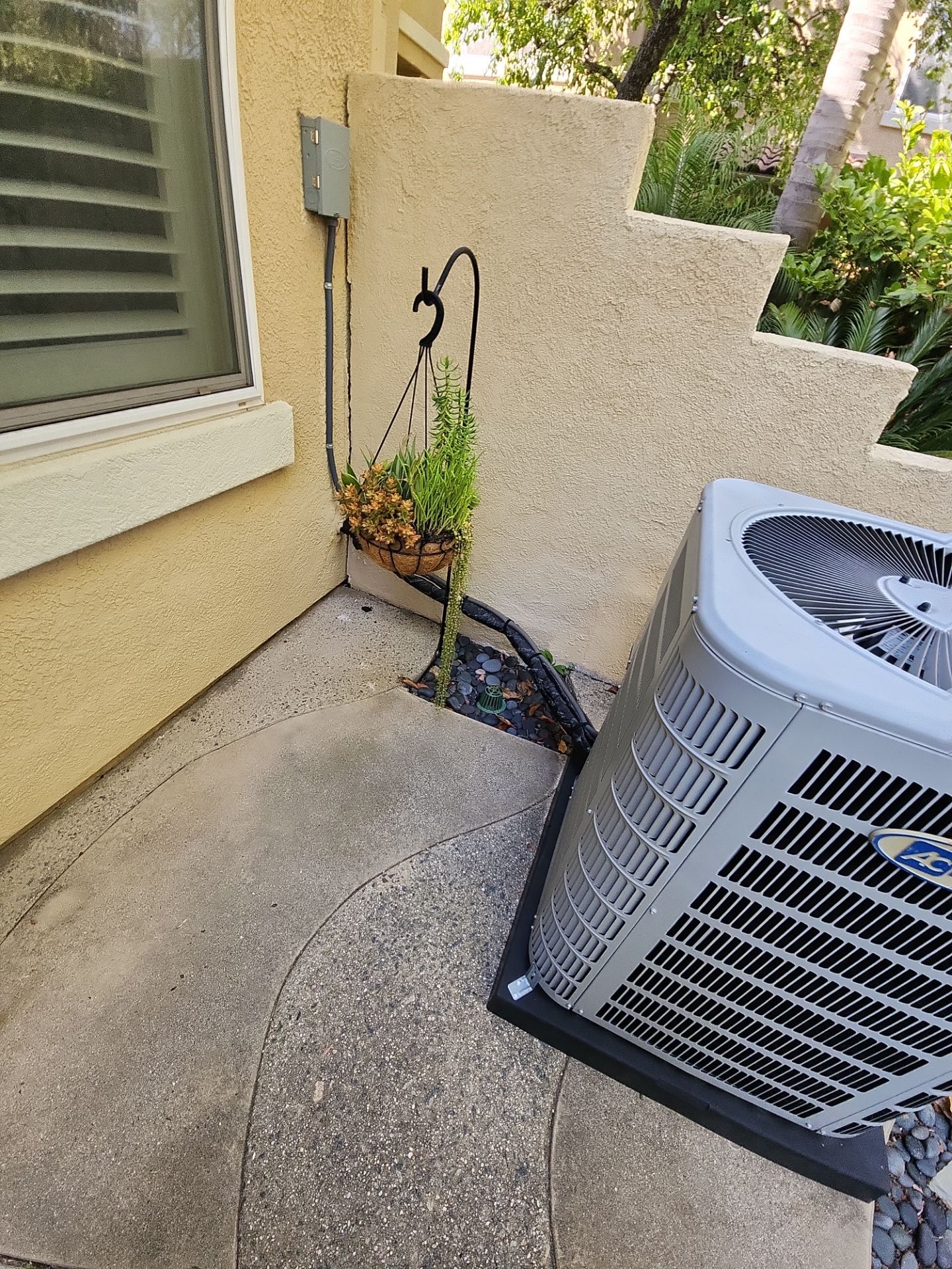 Small Patio Clean Up in Carlsbad by Yard Techs