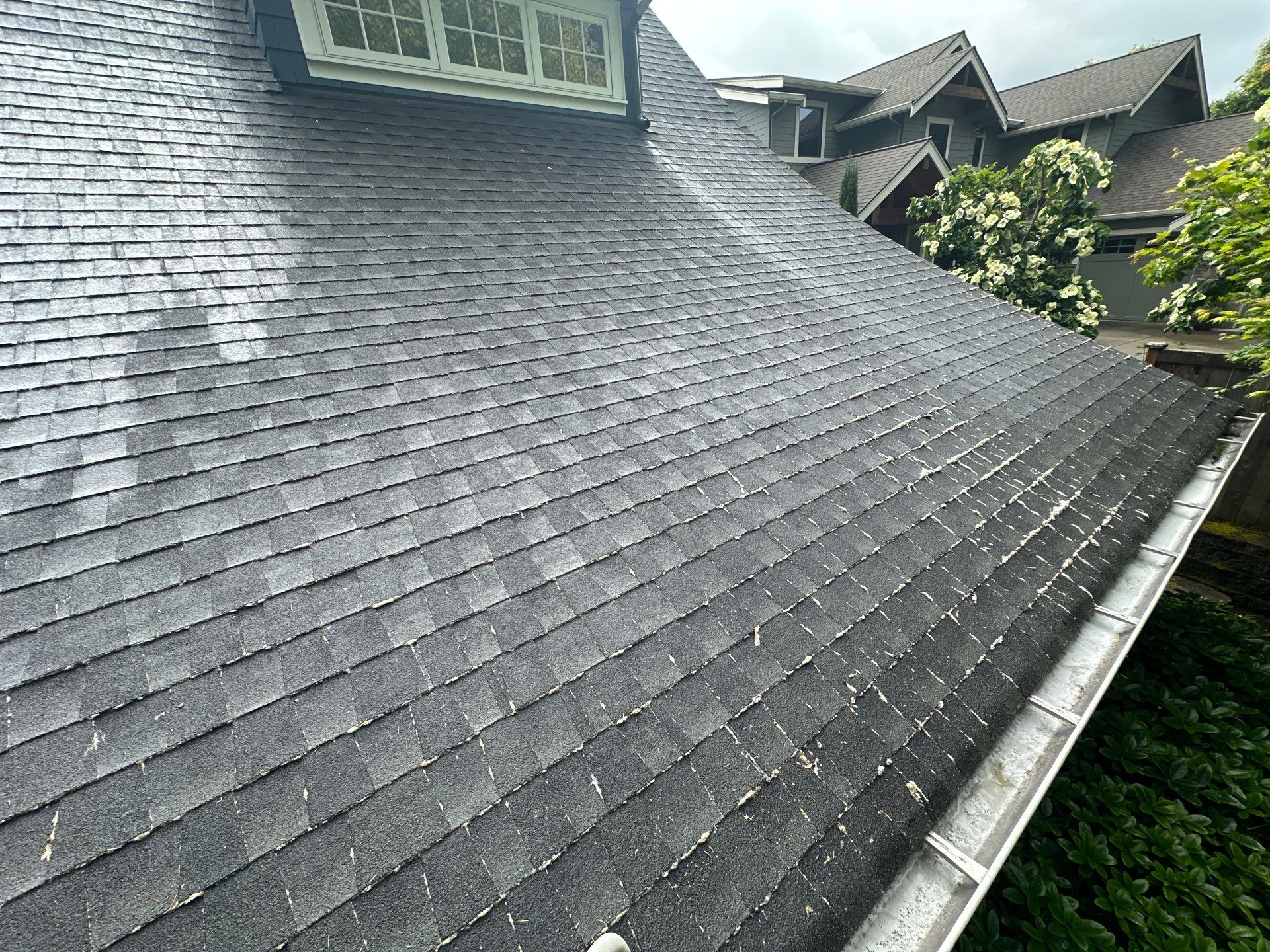 AGS Roof Wash in Mercer Island by WindowWorks