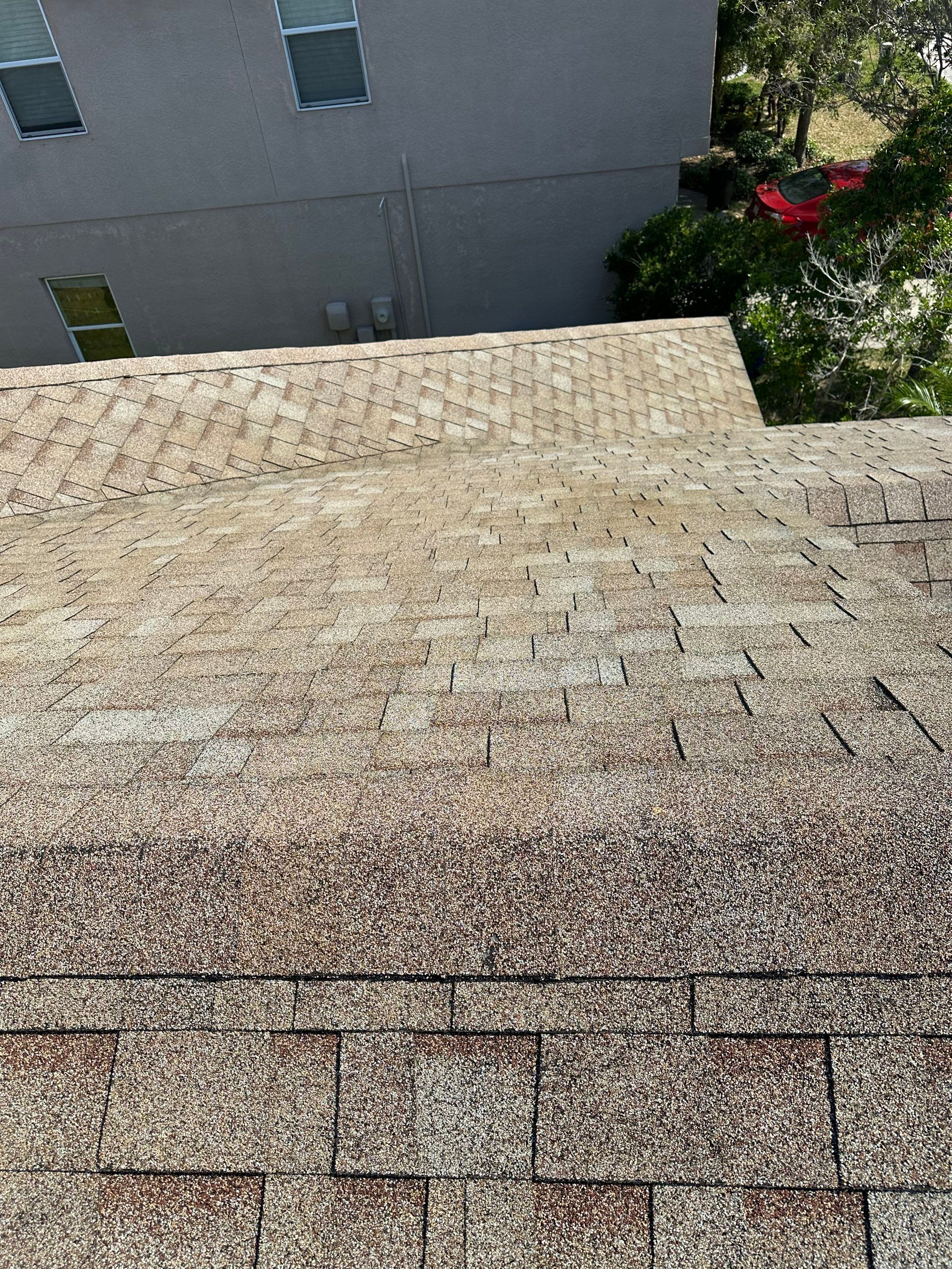 Asphalt Shingle Roof Soft Wash Cleaning & Concrete Pressure Washing in CopperStone Community, Parrish, FL by Sunshine AquaWash