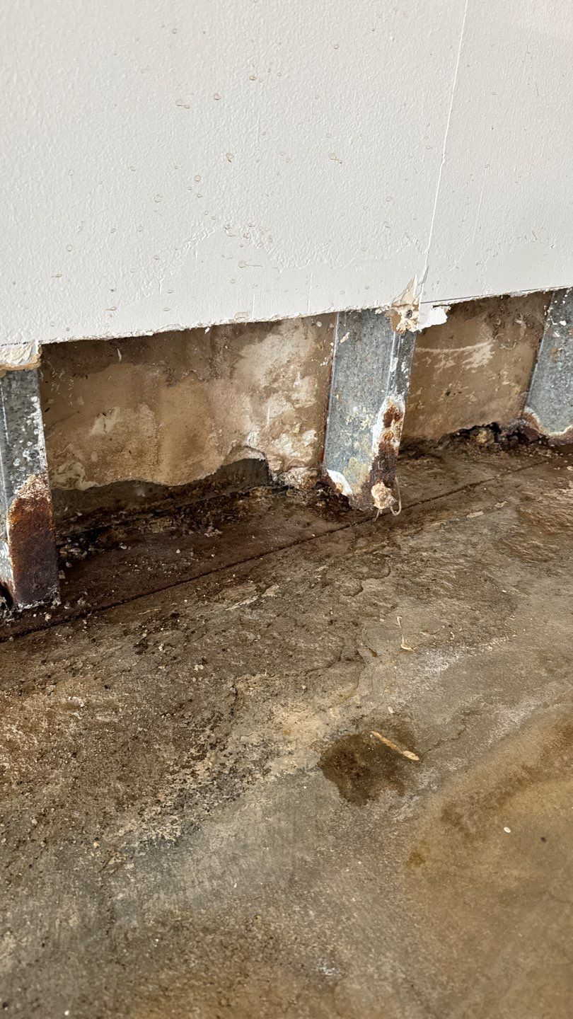 Mold Damage Restoration by Accountable Home Services