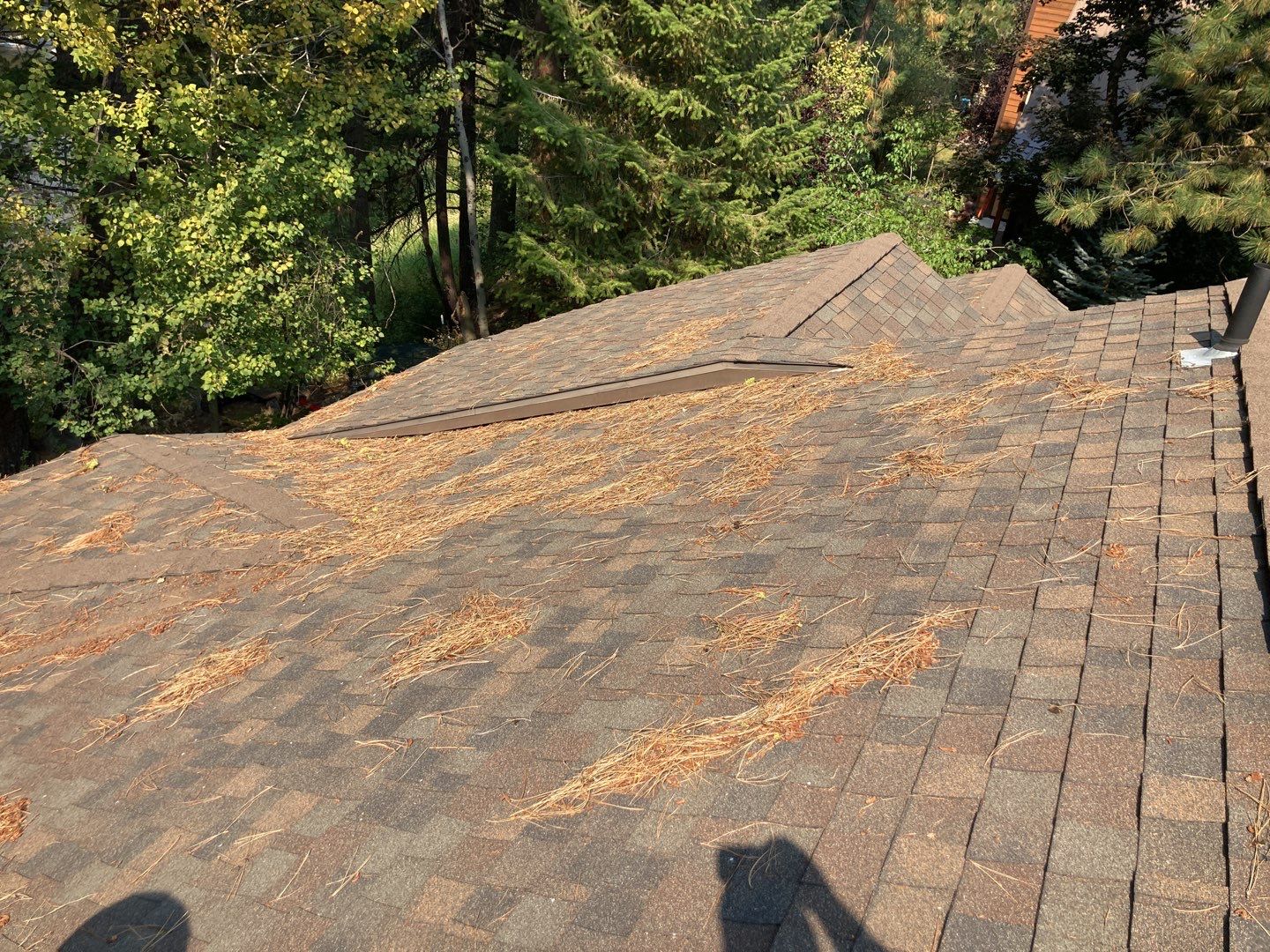 Two story new build gets a CertainTeed Landmark roof in Shenandoah  by ID Roofing LLC