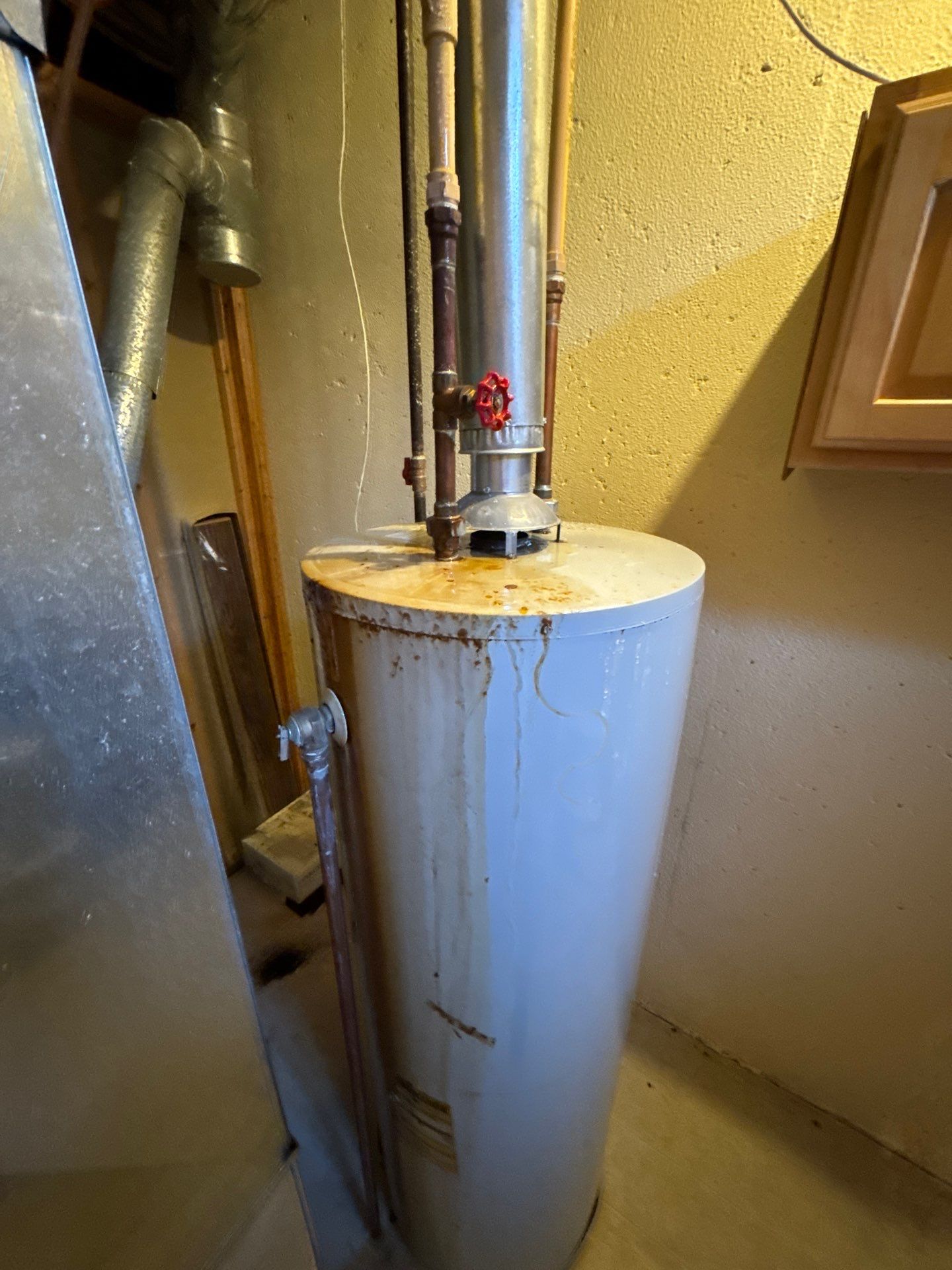 Project in Novi by EzDry Water Mitigation & Property Restoration