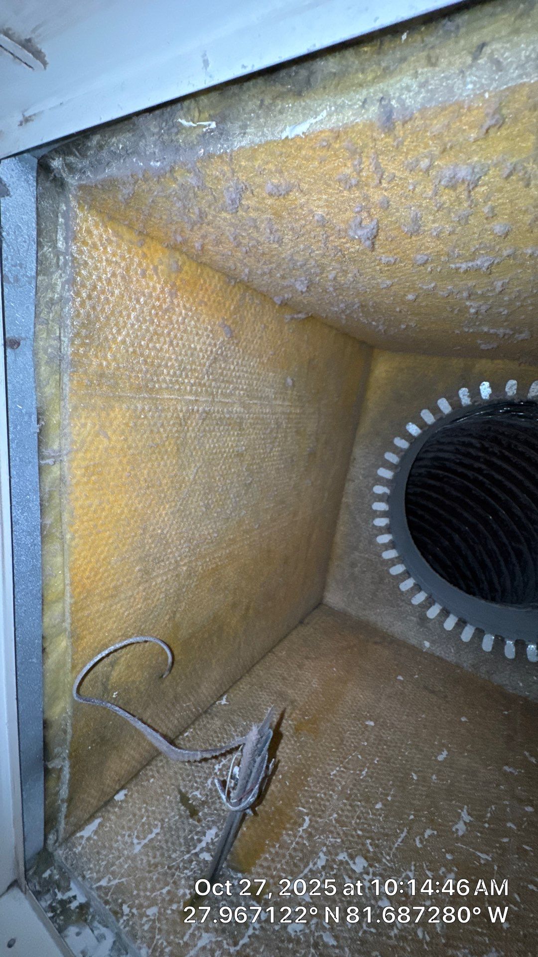 Air Duct and Dryer Vent Cleaning in Winter Garden by Hygienic Air, Inc