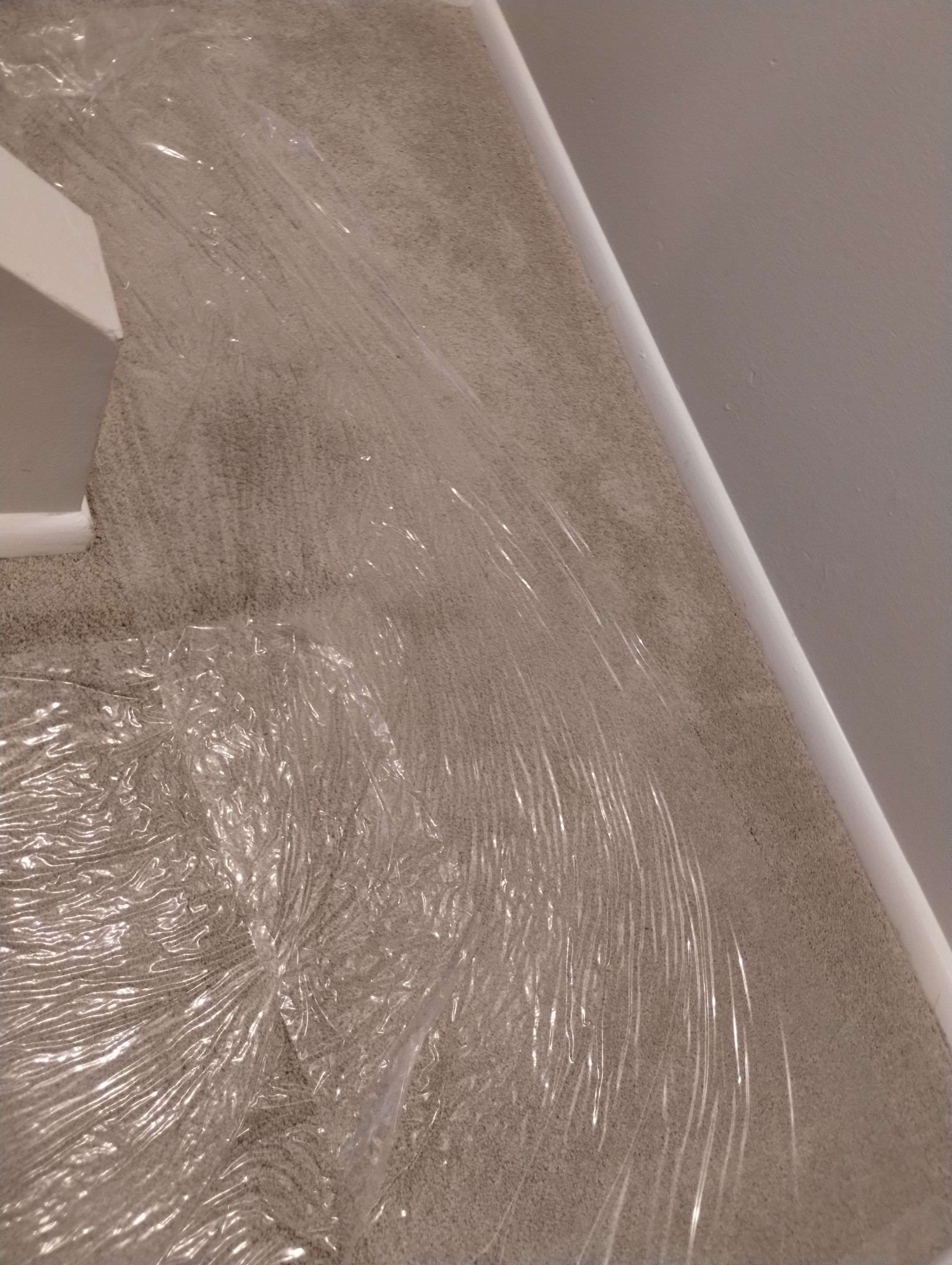 Mold Damage Repairs by Accountable Home Services