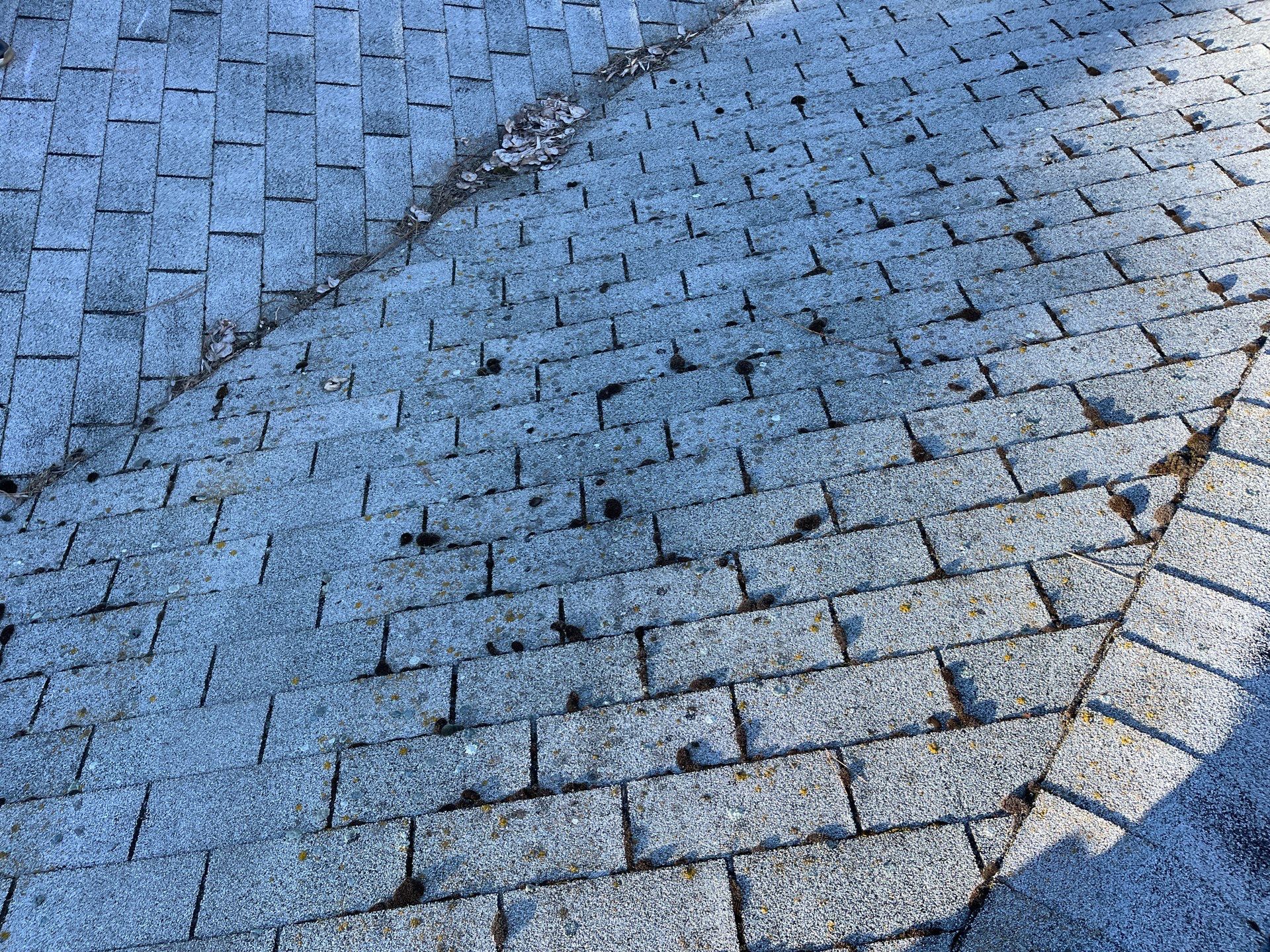 Project in Medical Lake by Connolly Construction Company