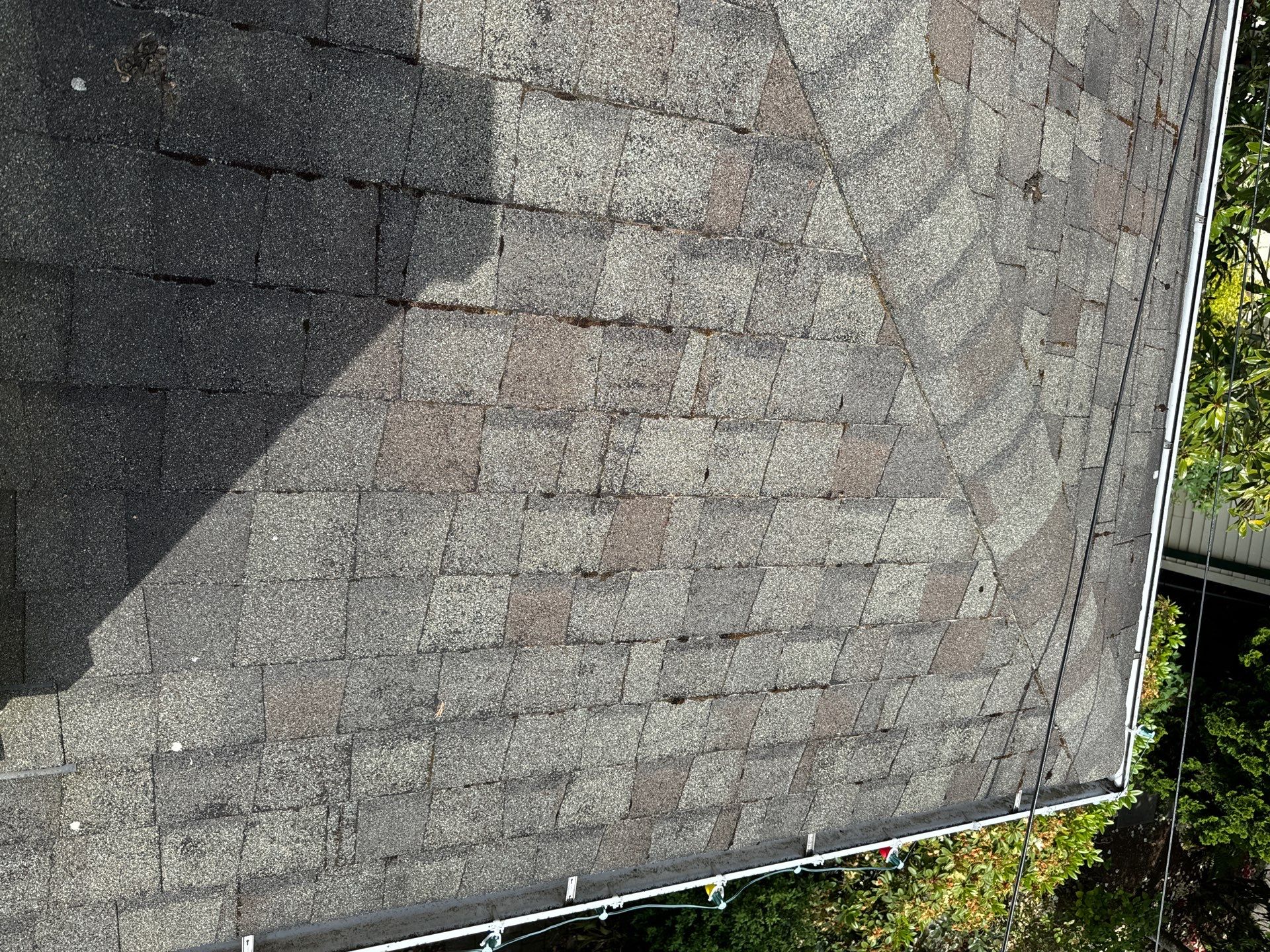 Project in Seattle by Peaks and Valleys Construction