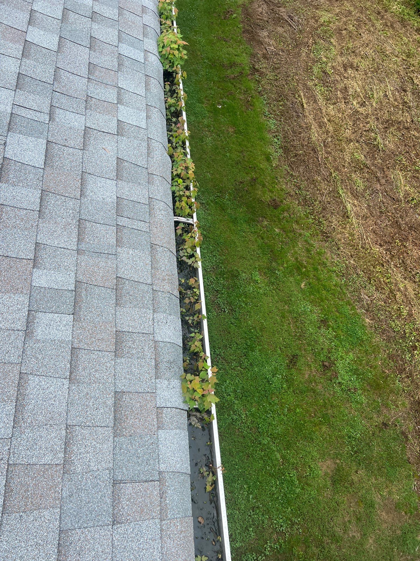 Commercial gutter cleaning Georgia before photo with filled gutters