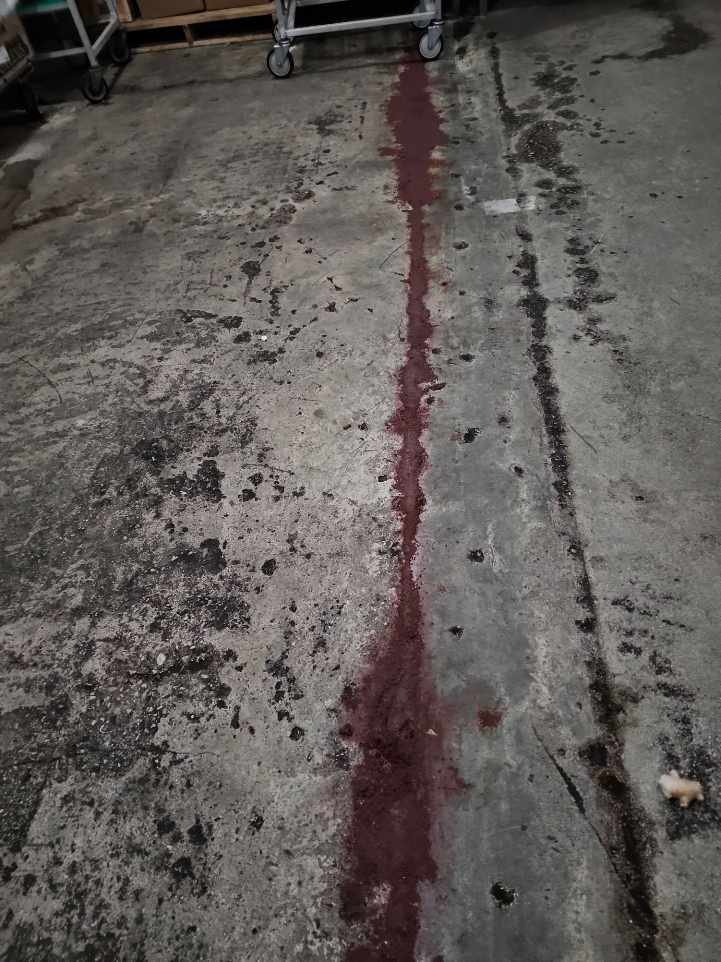 Fresco y Más Meat Processing Room Makeover by Seamless Surfaces