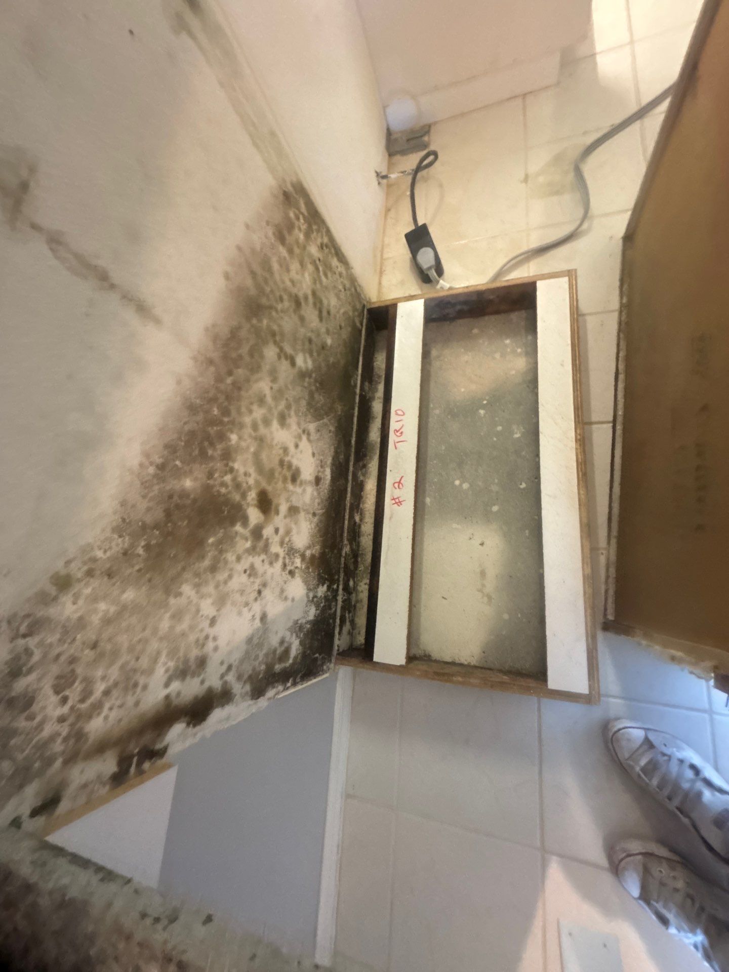 Mold Remediation by Ampm Restoration Services