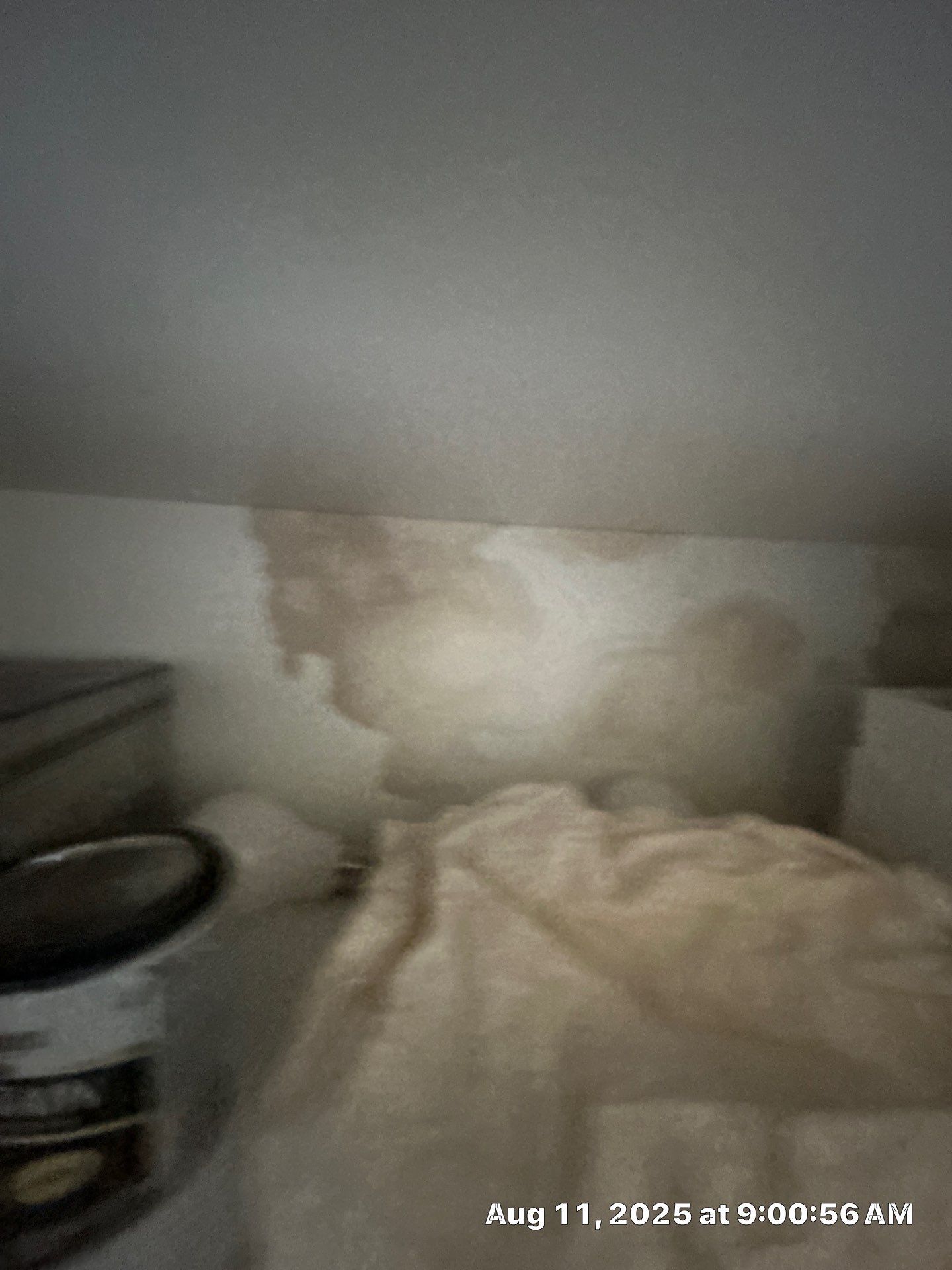 Mold Damage Inspection & Removal In Parrish, FL by Ampm Restoration Services