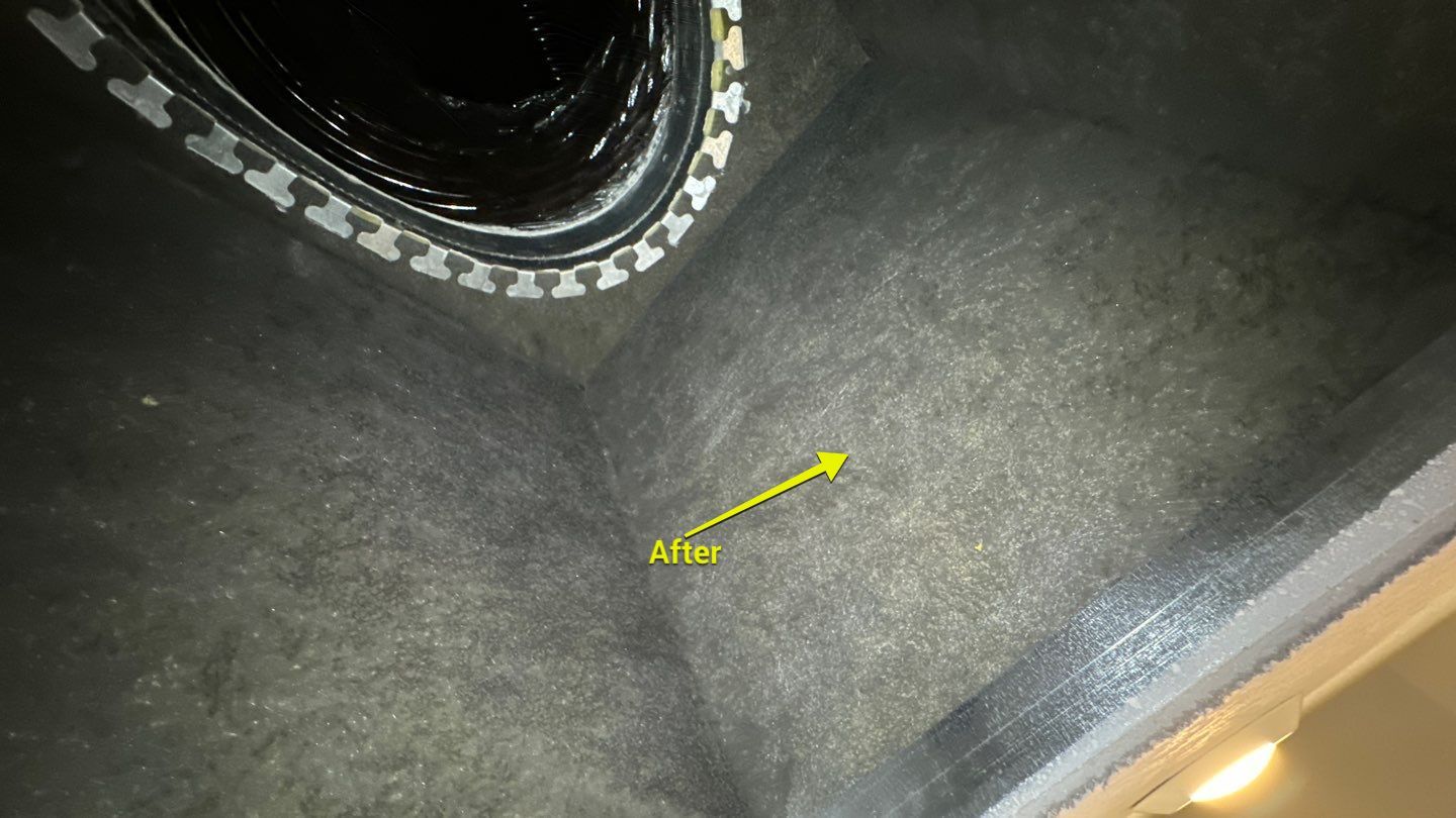 Air Duct Cleaning in Clermont by Hygienic Air, Inc