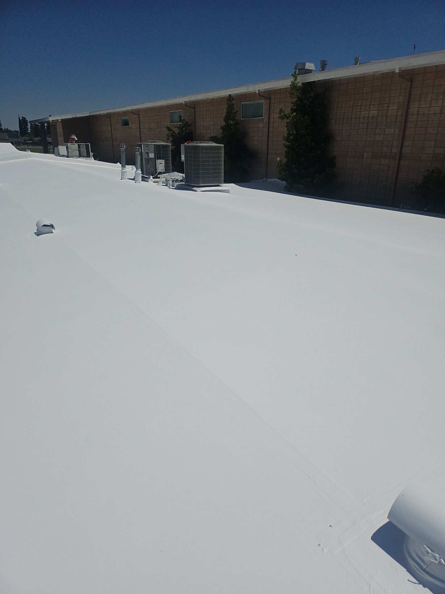 Single-ply restoration system using Benchmark/PUMA XL coatings over TPO single-ply roofing by Straight Edge Roofing Inc