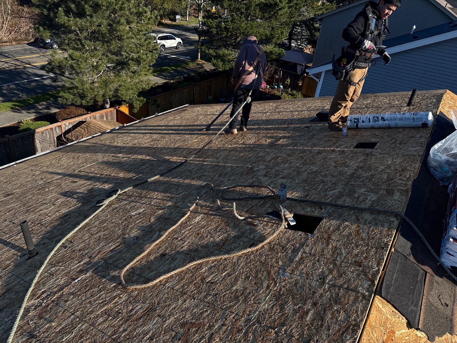 GAF Timberline NS, Hickory  by Proline Roofing & Restoration LLC