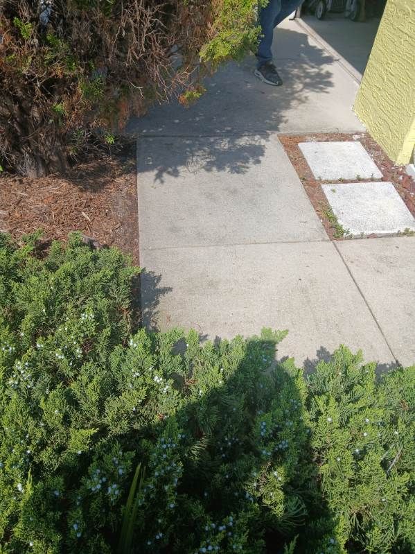 Driveway by Revelry Coatings
