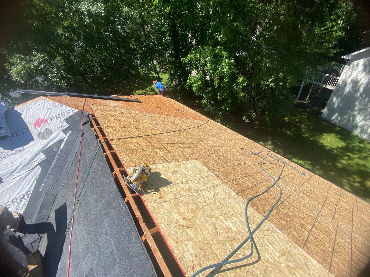 Rotten Wood by Roof Bullies
