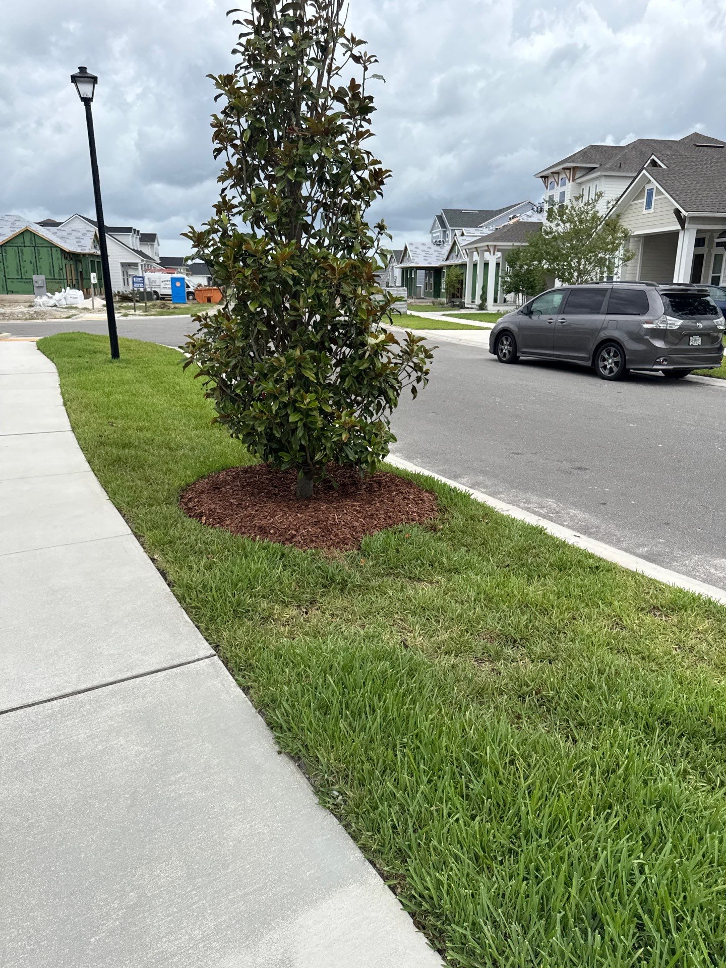 Residential | Sod Install by ProGreen Services