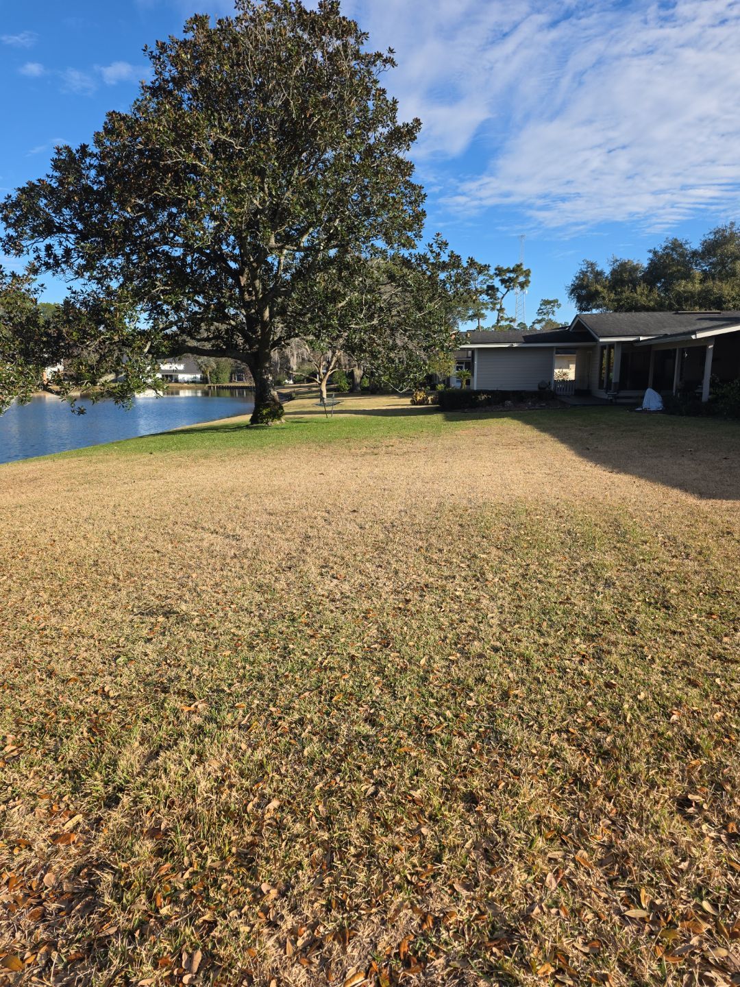 Deerwood Resident | Tree Install by ProGreen Services
