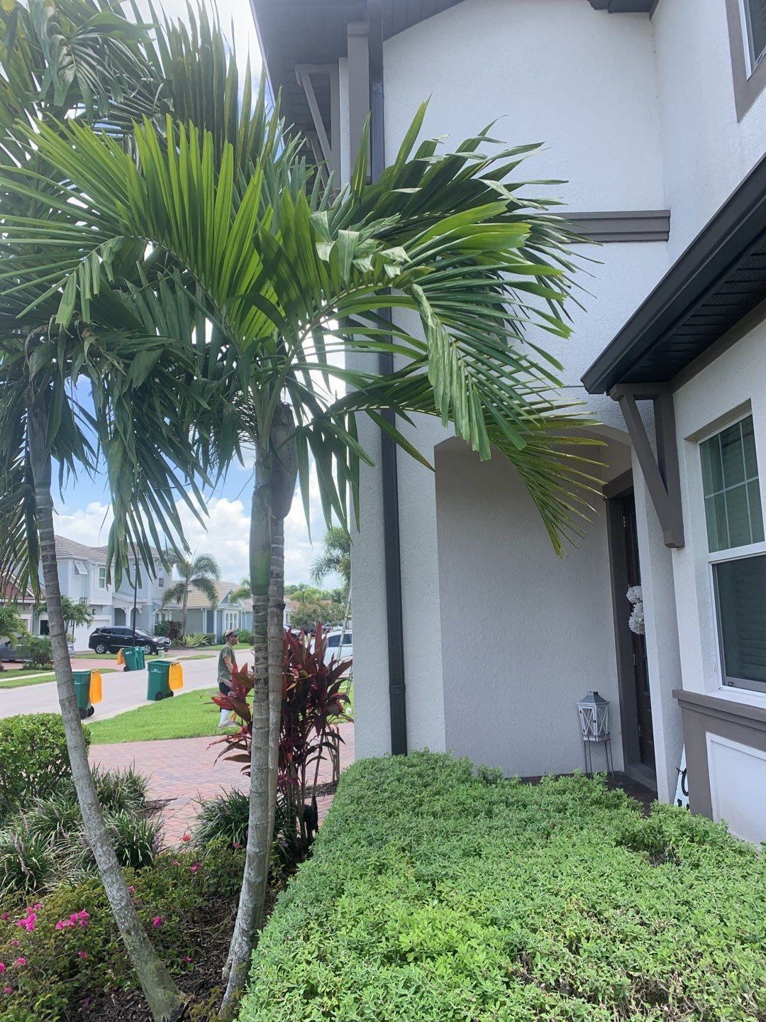 Black Seamless Gutters for Modern Homes in Naples FL  by Gutter Professors